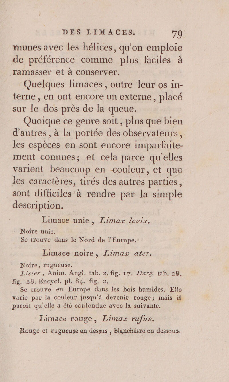 munes avec les hélices, qu'on emploie de préférence comme plus faciles à ramasser et à conserver. Quelques lumaces , outre leur os in- terne, en ont encore un externe, placé sur le dos près de la queue. Quoique ce genre soit, plus que bien d'autres , à La portée des observateurs, les espèces en sont encore imparfaite- ment connues; et cela parce qu'elles varient beaucoup en couleur, et que les caractères, tirés des autres parties, sont difficiles à rendre par la simple description. Limace unie, Limax levis, Noire unie. Se trouve dans le Nord de l’Europe. Limace noire, Limax ater. Noire, rugueuse. Lister, Anim. Angl. tab. 2. fig. 17. Darg. tab. 28, fig. 28. Encycl. pl. 84. fig. 2. Se trouve en Europe dans les bois humides. Elle varie par la couleur jusqu'à devenir rouge; mais il paroit qu'elle a été confondue avec la suivante. Limace rouge, Limax rufus. Rouge et rugueuse en dessus , blanchätre en dessous