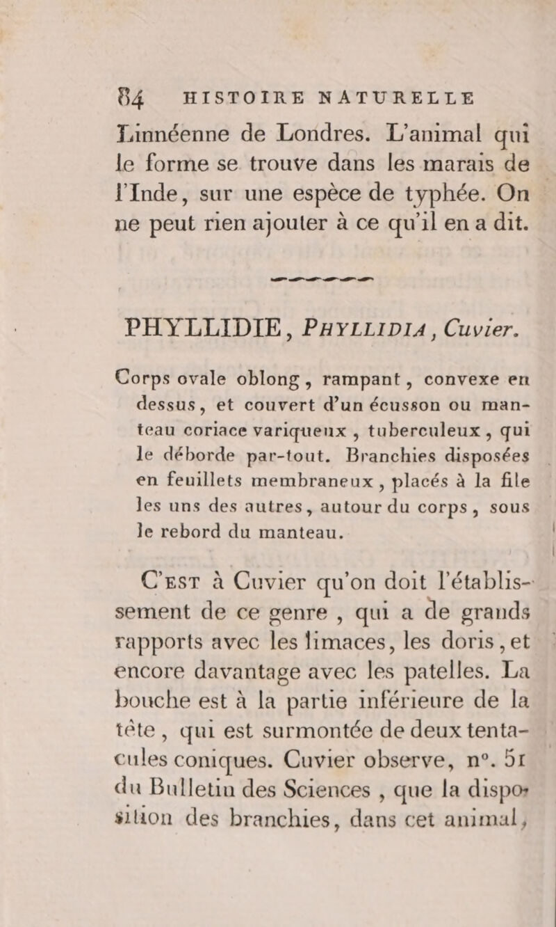 Tinnéenne de Londres. L'animal qui le forme se trouve dans les marais de l'Inde, sur une espèce de typhée. On ne peut rien ajouler à ce qu'il en a dit. El PHYLLIDIE, PHYLLIDIA, Cuvier. Corps ovale oblong, rampant, convexe en dessus, et couvert d’un écusson ou man- teau coriace variqueux , tuberculeux , qui le déborde par-tout. Branchies disposées en feuillets membraneux , placés à la file les uns des autres, autour du corps, sous le rebord du manteau. C'Esr à Cuvier qu'on doit l’établis- sement de ce genre , qui a de grands rapports avec les fimaces, les doris ,et encore davantage avec les patelles. La bouche est à la partie inférieure de la tête, qui est surmontée de deux tenta- cules coniques. Cuvier observe, n°. 51 du Bulletin des Sciences , que la dispos sion des branchies, dans cet animal,