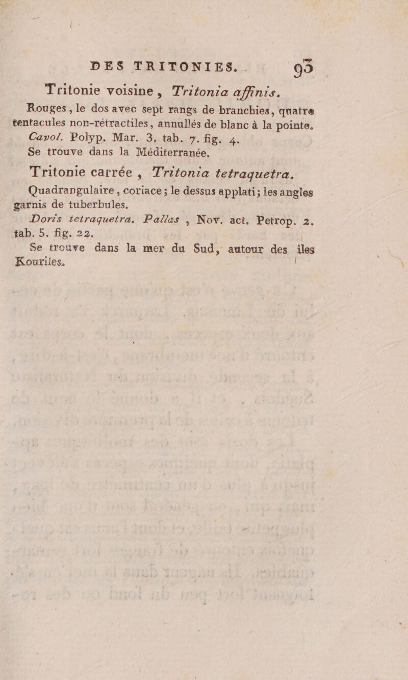 Tritonie voisine, Tritonia affints. Rouges, le dos avec sept rangs de branchies, quatre tentacules non-rétractiles, annullés de blanc à la pointe, Cavol. Polyp. Mar. 3, tab. 7. fig. 4. Se trouve dans la Méditerranée. Tritonie carrée , Tritonia tetraquetra. Quadrangulaire , coriace ; le dessus applati; les angles garnis de tuberbules. Doris tetraquetra. Pallas , Nov. aci. Petrop. 2. fab. 5. fig. 22. Se trouve dans la mer du Sud, autour des iles Kouriles,