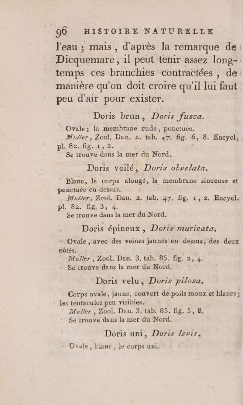 l'eau ; mais, d'après la remarque de: Dicquemare , 1l peut tenir assez long-. temps ces branchies contractées , de: manière qu'on doit croire qu'il lui faut: peu d'air pour exister. Doris brun, Doris fusca. Ovale ; la membrane rude, ponctuée. Muller, Zool. Dan. 2. tab. 47. fig. 6, 8. Encycl, pl. 82..fig. 1, 2. Se trouve dans la mer du Nord. Doris voilé, Doris obvelata. Blanc, le corps alongé, la membrane sinueuse et ponctuée en dessus. -Muller, Zcol. Dan. 2. tab. .47. fig. 1, 2. Encycl. pl, 82. ÜB.9, 4. Se trouve dans la mer du Nord, Doris épineux , Doris muricata. Ovale , avec des veines jaunès en dessus, des deux côtés. Muller , Zool. Dan. 3. tab. 85. fig. 2, 4. Se troùve dans la mer du Nord. Doris velu, Doris pilosa, Corps ovale, jaune, couvert de poils moux et blancs ; les tentacules peu visibles. Muller , Zool. Dan. 3. tab. 85. fig. 5, 8. Se trouve dans la mer du Nord. Doris uni, Doris levis, Ovale, blanc , le corps uui,