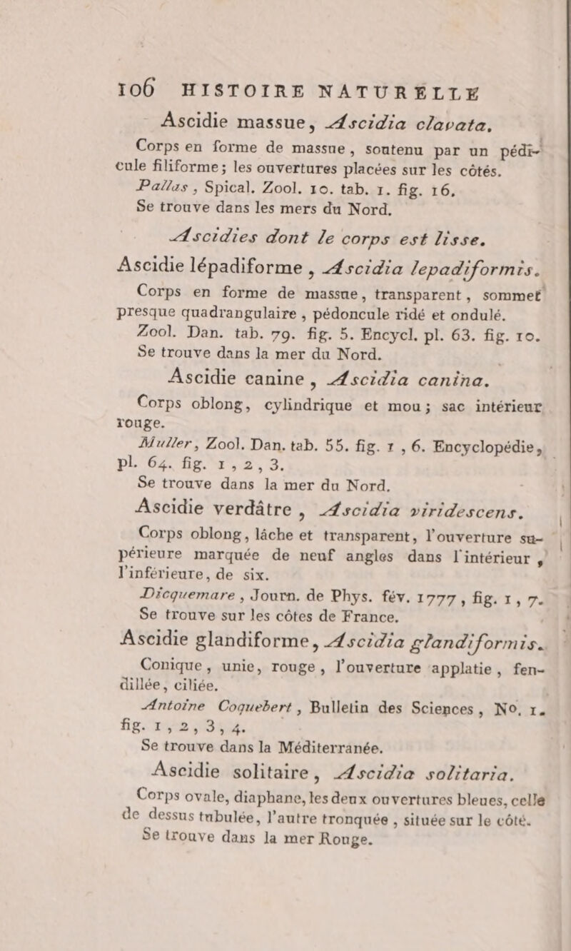 Ascidie massue, Æscidia clavata, Corps en forme de massue, soutenu par un pédi- cule filiforme; les ouvertures placées sur les côtés. Pallas , Spical. Zool. 10. tab. 1. fig. 16, Se trouve dans les mers du Nord. Ascidies dont le corps est lisse. Ascidie lépadiforme , ÆAscidia lepadiformis. Corps en forme de massue, transparent, sommet presque quadrangulaire , pédoncule ridé et ondulé. Zool. Dan. tab. 79. fig. 5. Encycl. pl. 63. fig. 10. Se trouve dans la mer du Nord. Ascidie canine , ÆAscidia canina. Corps oblong, cylindrique et mou; sac intérieur rouge. pL 64. fig. x ,2, 3. Se trouve dans la mer du Nord. Ascidie verdâtre , Æscidia viridescens. périeure marquée de neuf angles dans l'intérieur, l'inférieure, de six. Dicquemare , Journ. de Phys. fév. 1777, Her, ri Se trouve sur les côtes de France. Ascidie glandiforme, Æscidia glandiformis. Conique , unie, rouge , l'ouverture applatie, fen- dillée, ciliée, | Antoine Coquebert , Bulletin des Sciences, No, r. Es rée OE Ascidie solitaire, Æscidia solitaria. Corps ovale, diaphane, les deux ouvertures bleues, celle de dessus tubulée, l’autre tronquée , située sur le côté. $e trouve dans Ja mer Rouge. |