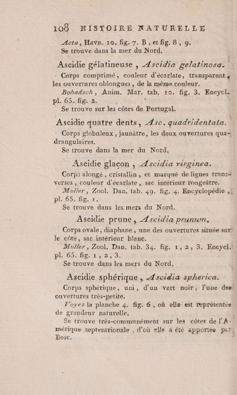 Acta, Havn. 10. fig. 7. B,etfig. 8, 9. Se trouve dans la mer du Nord. Ascidie gélatineuse , Æscidia gelatinosæ. - Corps comprimé, couleur d’écarlate, transparent ; les ouvertures oblongues , de la même couleur. 1 Bohadsch, Anim. Mar. tab. 10, fig. 3. Encycl. pl. 65. fig. 2. $ È Se trouve sur les côtes de Portugal. Ascidie quatre dents, Æsc. quadridentata. * Corps globuleux, jaunätre, les deux ouvertures qua drangulaires, Se trouve dans la mer du Nord, Ascidie glacon , Æscidia rirginea. Corps alongé, cristallin, et marqué de lignes trans verses , couleur d’écarlate, sac intérieur rougeâtre. Muller, Zool. Dan. tab. 40. fig. 4. Encyclopédie ,4 pl. 65. fig. 1. Se trouve dans les mers du Nord. Ascidie prune, Æscidia prunum. Corps ovale, diaphane , une des ouvertures située sur) le côté, sac intérieur blanc. Muller, Zool. Dan. tab. 34. fig. 1, 2, 3. Encycli pL'65:figrir'a;s, Se trouve dans les mers du Nord. Ascidie sphérique , Æscidia spherica. Corps sphérique, uni, d’un vert noir, l’une deal ouvertures très-petite. Voyez la planche 4. fig. 6, où elle est représentée de grandeur naturelle, Se trouve très-communément sur les côtes de l A mérique septentrionale , d'où elle a été apportée part Bose.