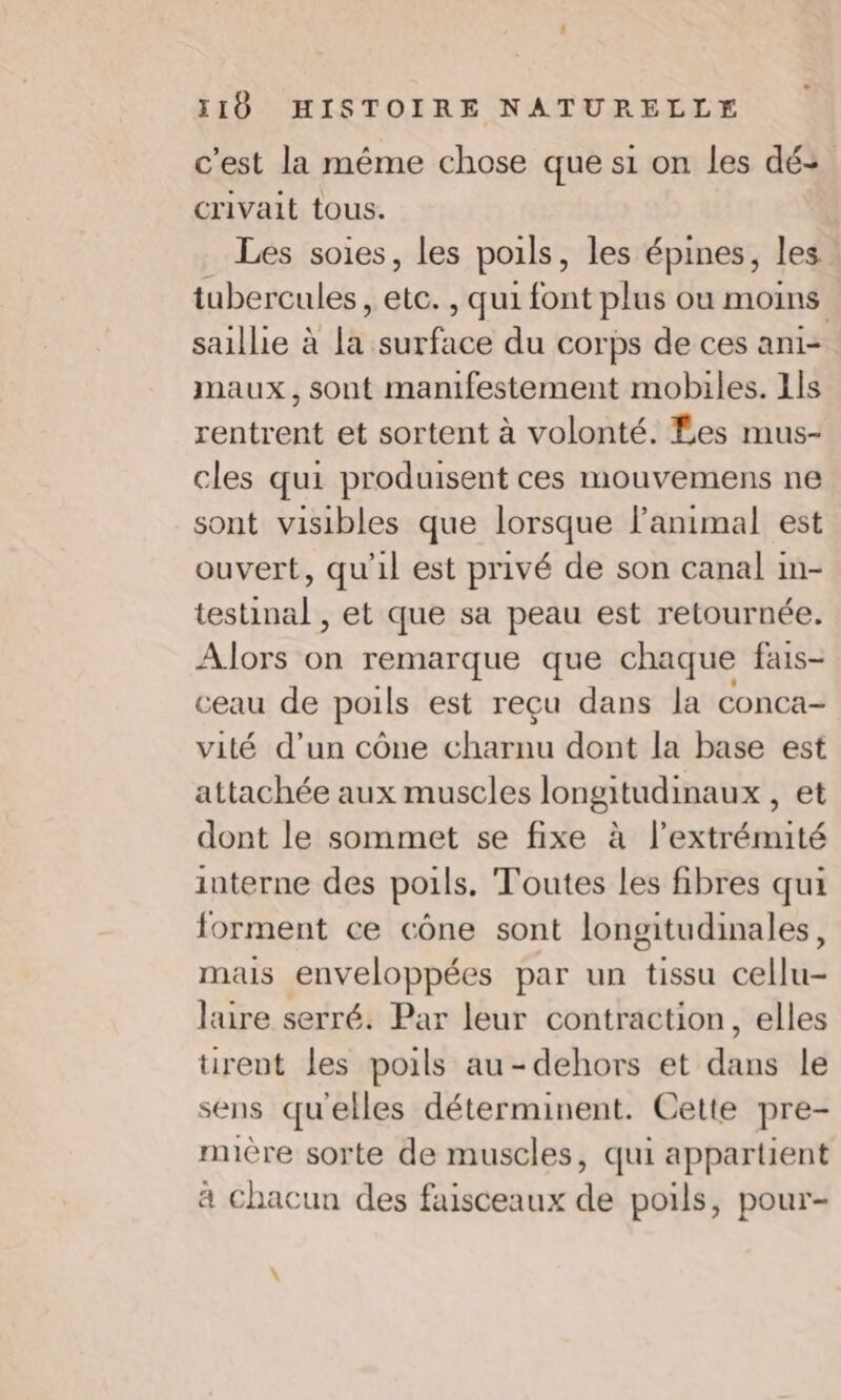 c'est la même chose que s1 on les dé- crivait tous. Les soies, les poils, les épines, les tubercules , etc. , qui font plus où moins saillie à la surface du corps de ces ani- maux, sont manifestement mobiles. 1ls rentrent et sortent à volonté. £es mus- cles qui produisent ces mouvemens ne sont visibles que lorsque l'animal est ouvert, qu'il est privé de son canal in- testinal , et que sa peau est retournée. Alors on remarque que chaque fais- ceau de poils est reçu dans la conca- vité d’un cône charnu dont la base est attachée aux muscles longitudinaux , et dont le sommet se fixe à l'extrémité interne des poils. Toutes les fibres qui forment ce cône sont longitudinales, mais enveloppées par un tissu cellu- laire serré. Par leur contraction, elles ürent les poils au-dehors et dans le sens qu'elles déterminent. Cette pre- mière sorte de muscles, qui appartient à chacun des faisceaux de poils, pour-