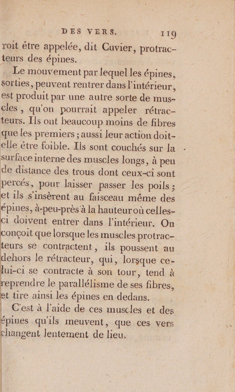 roit être appelée, dit Cuvier, protrac- teurs des épines. Le mouvement par lequel les épines, sorties, peuvent rentrer dans l’intérieur , est produit par une autre sorte de mus- cles , qu'on pourrait appeler rétrac- teurs. Ils ont beaucoup moins de fibres que les premiers ; aussi leur action doit- elle être foible. Iis sont couchés sur la surface interne des muscles longs, à peu de distance des trous dont ceux-ci sont percés, pour laisser passer les poils ; etils s'insèrent au faisceau même des épines, à-peu-près à la hauteur où celles- ci doivent entrer dans l’intérieur. On conçoit que lorsque les muscles protrac- teurs se contractent, ils poussent au dehors le rétracteur, qui, lorsque ce- lui-ci se contracte à son tour, tend à reprendre le parallélisme de ses fibres, et tire ainsi les épines en dedans. | C'est à l’aide de ces muscles et des épines qu'ils meuvent, que ces vers changent lentement de lieu.