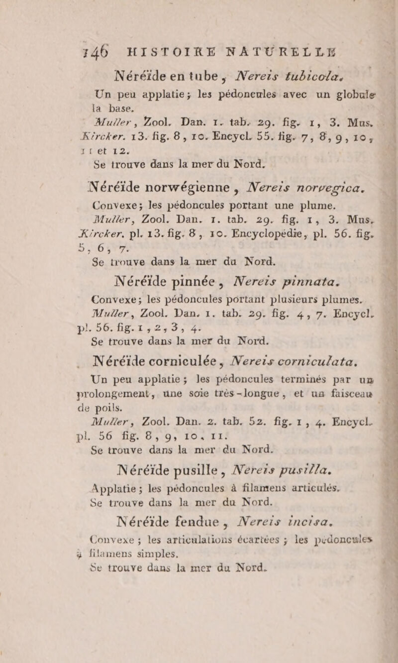 Néréïde en tube, MVerers fubicola. Un peu applatie; les pédonenles avec un globale la base. Muller, Zool. Dan. 1. tab. 29. fig. 1, 3. Mus. Kircker. 13. fig. 8, 10. EncycL 55. fig. 7, 8,9,10, x Let 12. Se trouve dans la mer du Nord. Néréïde norwégienne , Nereis norvegica. Convexe; les pédoncules portant une plume. Muller, Zool. Dan. 1. tab. 29. fig. 1, 3. Mus. X'rcker, pl. 13. fig. 8, 10. Encyclopédie, pl. 56. fig. D 10677 Se trouve dans la mer du Nord. Néréïde pinnée, Nereis pinnata. Convexe; les pédoncules portant plusieurs plumes. Muller, Zool. Dan, 1. tab. 29. fig. 4, 7. Encycl. pl. 56. fig.1,2,3, 4. Se trouve dans la mer du Nord. Néréïde corniculée, Vereis corniculata. Un peu applatie; les pédoncules terminés par ux de poils. Muller, Zool. Dan. 2. tab. 52. fig. 1, 4. Encycl. DLÉSOONET ON MO. TOI: Se trouve dans la mer du Nord. Néréïde pusille, Néreis pusilla. Applatie ; les pédoncules à filamens articulés. Se trouve dans la mer du Nord. Néréide fendue, Vereis incisa. Convexe ; les articulations écartées ; les pedoncules 3 filamens simples. Se trouve dans la mer du Nord. ml AE Re PORT. Tee PA