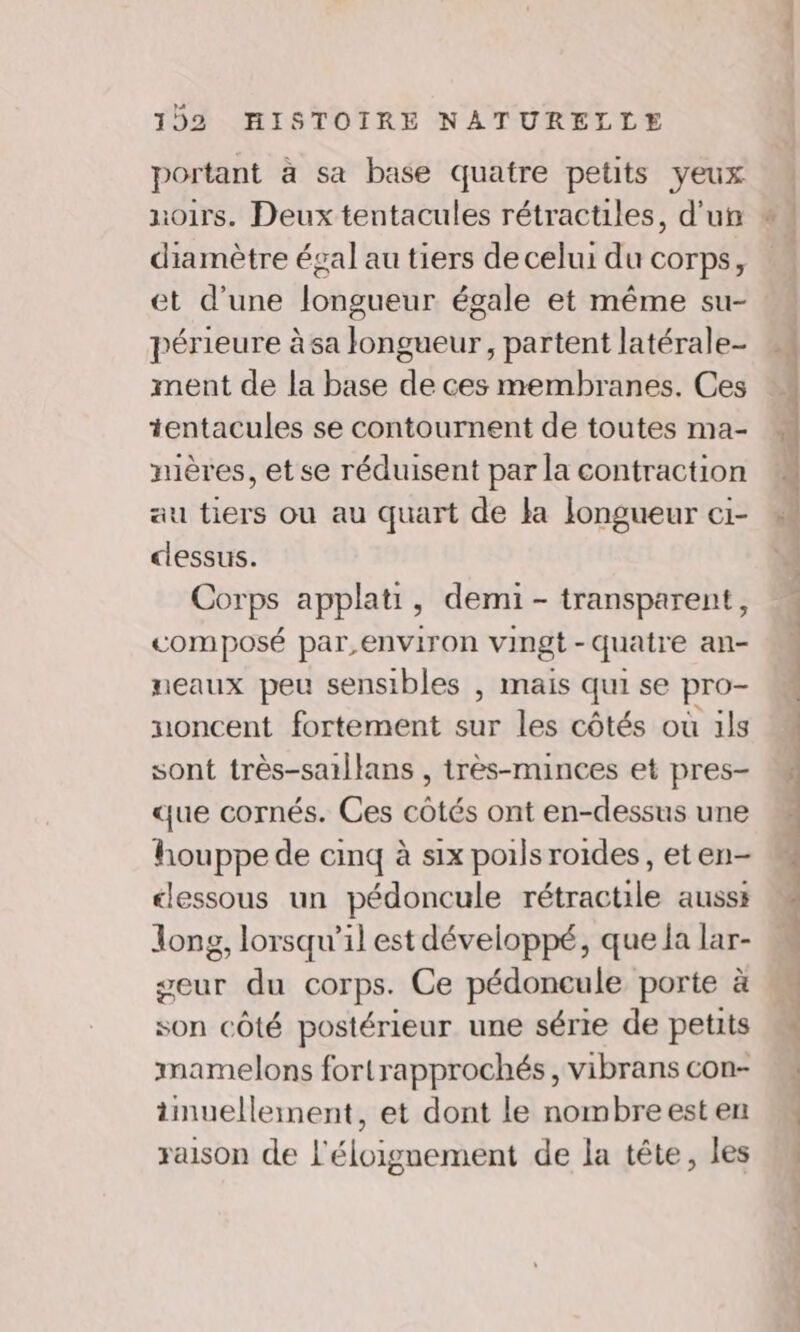 portant à sa base quatre petits yeux noirs. Deux tentacules rétractiles, d'un * diamètre égal au tiers de celui du corps, et d’une longueur égale et même su- périeure à sa longueur, partent latérale- ment de la base de ces membranes. Ces tentacules se contournent de toutes ma- mères, et se réduisent par la contraction au tiers ou au quart de la Jongueur ci- dessus. Corps applati, demi - transparent, composé par,environ vingt-quatre an- neaux peu sensibles , mais qui se pro- xoncent fortement sur les côtés où 1ls sont très-sarllans , très-minces et pres- que cornés. Ces côtés ont en-dessus une houppe de cinq à six poils roides, et en- clessous un pédoncule rétractile ausss long, lorsqu'il est développé, que la lar- geur du corps. Ce pédoneule porte à son côté postérieur une série de petits mamelons fortrapprochés , vibrans con- timuelleinent, et dont le nombreest en raison de l'éloignement de la tête, les