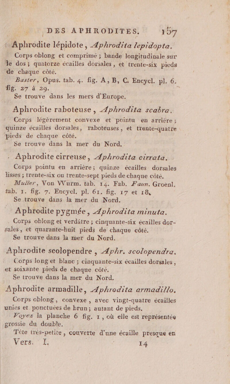 M hrodite lépidote, Æphrodita PERARERE Corps oblong et comprimé ; bande longitudinale sur Île dos ; quatorze écailles dorsales, et trente- -six pieds de chaque côté. Baster, Opus. tab. 4. fig. A, B, C. Encycel. pl. 6. Ég. 27 à 20. êi Se trouve dans les mers d Europe. Aphrodite raboteuse , Æphrodita scabra, Corps légèrement convexe et pointu en arriére ; quinze écailles dorsales, raboteuses, et trente-quatre Pieds de chaque côté. Se trouve dans la mer du Nord. Aphrodite cirreuse, Æphrodita cirrata. Corps pointu en arrière; quinze écailles dorsales lisses ; trente-six ou trente-sept pieds de chaque côté. Muller, Von Wurm. tab. 14. Fab. Faun. Groënl. tab. 1. fig. 7. Encycl. pl. 61. fig. 17 et 18 Se trouve dans la mer du Nord. Aphrodite pygmée, Æphrodita minuta. - Corps oblong et verdätre ; cinquante-six écailles dor- sales, et quarante-huit pieds de chaque côté. Se trouve dans la mer du Nord. Aphrodite scolopendre , Æphr. scolopendra. Corps long et blanc ; cinquante-six écailles dorsales , et soixante pieds de chaque côté. Se trouve dans la mer du Nord. Aphrodite armadille, 4phrodita armadillo. Corps oblong, convexe , avec vingt-quatre écailles unies et ponctuées de brun; autant de pieds. Foyez la planche 6 fig. 1, où elle est représentée _grossie du double. Tête très-petite, couverte d’une écaille presque en Vers. I. 14