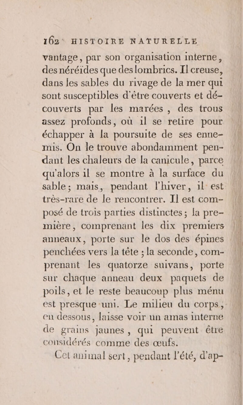 vantage, par son organisation interne, des néréides que des lombrics. Il creuse, dans les sables du rivage de la mer qui sont susceptibles d'être couverts et dé- couverts par les marées , des trous assez profonds, où 1l se retire pour échapper à la poursuite de ses enne- mis. On le trouve abondamment pen- dant les chaleurs de la canicule, parce qu'alors 1l se montre à la surface du sable; mais, pendant l’hiver, 1l° est très-rare de le rencontrer. Il est com- posé de trois parties distinctes ; la pre- mière, comprenant les dix premiers anneaux, porte sur le dos des épines : penchées vers la tête ; la seconde, com- prenant les quatorze suivans, porte sur chaque anneau deux paquets de poils, et le reste beaucoup plus ménu est presque ‘uni. Le milieu du corps, en dessous, laisse voir un amas interne de grains jaunes, qui peuvent être considérés comme des œufs. Cet animal sert, pendant l'été, d’ap-