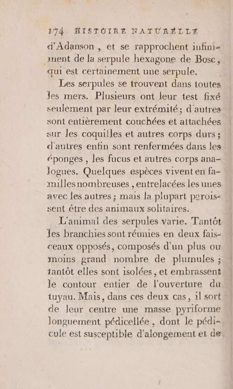 d'Adanson , et se rapprochent infini- ment de la serpule hexagone de Bosc, qui est certainement une serpule. Les serpules se trouvent dans toutes les mers. Plusieurs ont leur test fixé seulement par leur extrémité; d'autres sont entièrement couchées et attachées sur les coquilles et autres corps durs; d'autres enfin sont renfermées dans les éponges , les fucus et autres corps ana- Jogues. Quelques espèces vivent en fa- -imillesnombreuses , entrelacées les unes avec les autres ; mais la plupart parois- sent être des animaux solitaires. L'animal des serpules varie. Tantôt les branclues sont réunies en deux fais- ceaux opposés, composés d'un plus ou moins grand nombre de plumules ; tantôt elles sont isolées, et embrassent le contour entier de l'ouverture du tuyau. Mais, dans ces deux cas, 1! sort de leur centre une masse pyriforme Jonguement pédicellée , dont le pédi- cule est susceptible d'alongement et de