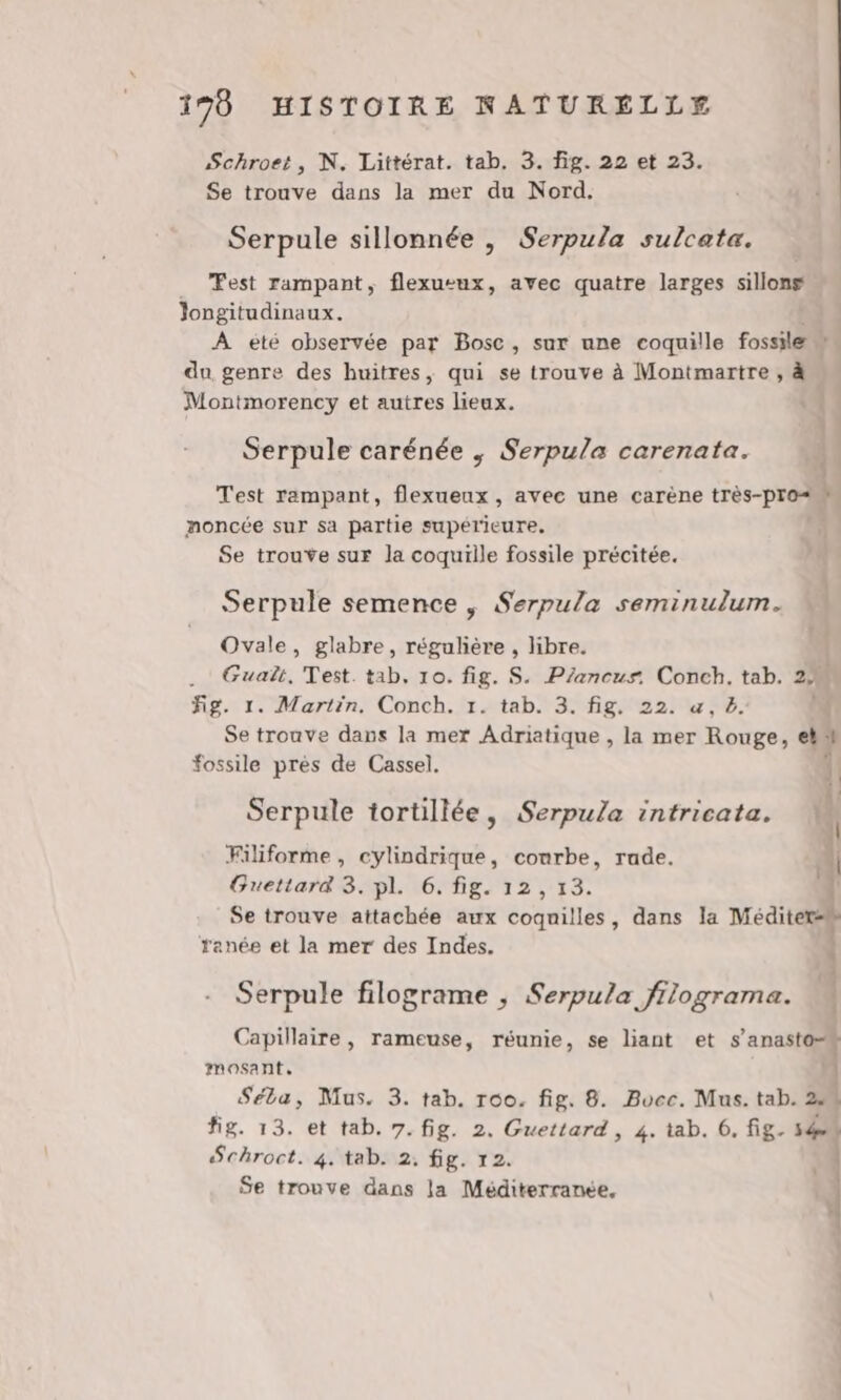 Schroet, N. Littérat. tab. 3. fig. 22 et 23. Se trouve dans la mer du Nord. Serpule sillonnée , Serpula sulcata. Fest rampant, flexusux, avec quatre larges sillons Jongitudinaux. À eté observée par Bose, sur une coquille fossile 4 du genre des huitres, qui se trouve à Montmartre , à Montmorency et autres lieux. Serpule carénée ; Serpu/a carenata. À Test rampant, flexueux , avec une carène très-Pro… noncée sur sa partie supérieure. Se trouve sur la coquille fossile précitée. Serpule semence , Serpula seminulum. Ovale, glabre, régulière , libre. .. Guaët, Test. tab. 10. fig. S. Pzancus. Conch. tab. 29 fig. 1. Martin. Conch. 1. tab. 3. fig. 22. «, k. Se trouve dans la mer Adriatique , la mer Rouge, el ? fossile près de Cassel. Serpule tortillée, Serpula intricata. Filiforme , cylindrique, courbe, rade. | Guettara 3. pl. 6. fig. 12, 13. 4 Se trouve attachée aux coquilles, dans la editer ranée et la mer des Indes. { Serpule filograme ; Serpula filograma. M Capillaire, rameuse, réunie, se liant et ne | mosant, Séta, Mus. 3. tab. roo. fig. 8. Buec. Mus. tab. 2.. fig. 13. et tab. 7. fig. 2. Guettard, 4. tab. 6, fig. 140 Schroct. 4. tab. 2, fig. 12. | Se trouve dans la Méditerranée, |