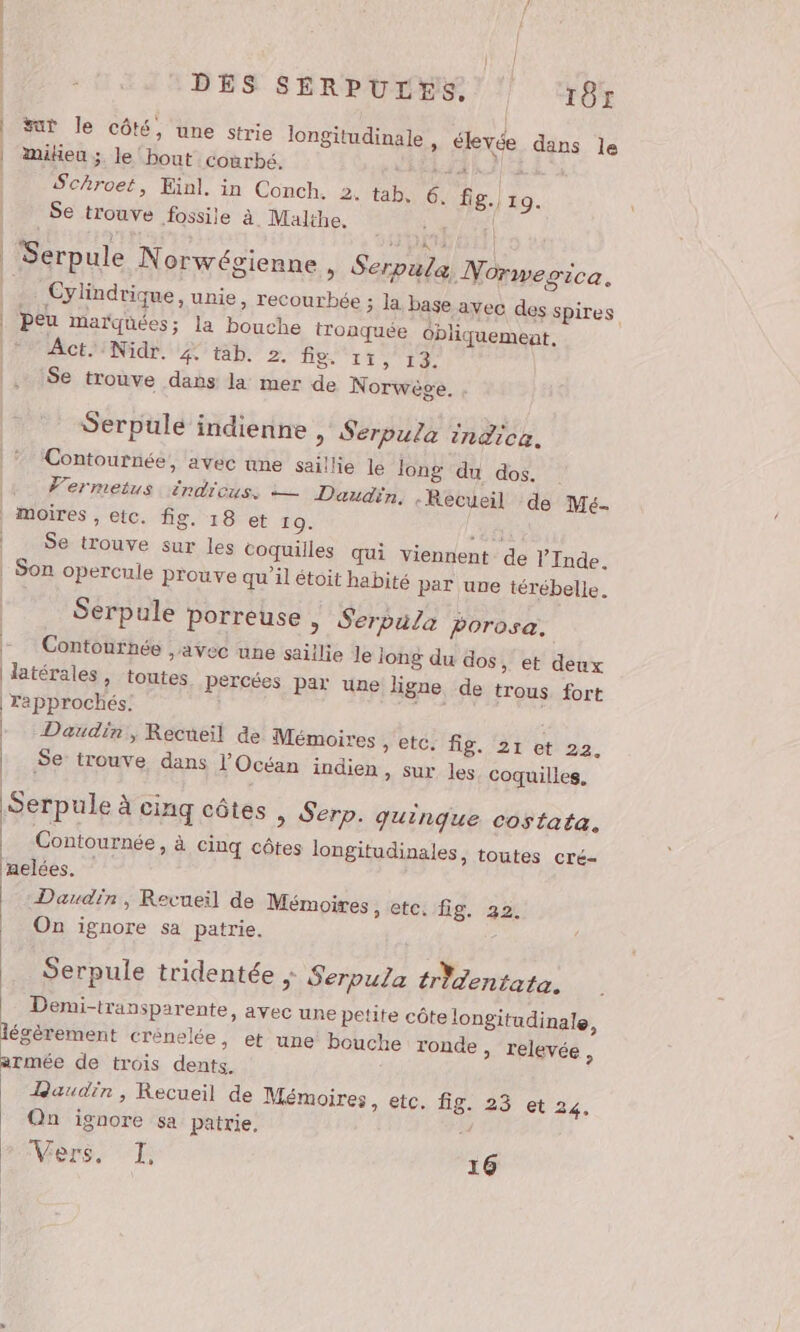 | sut le côté, une strie longitudinale , élevée dans le | miheu;, le bout courbé. CHERS) 2 | Schroet, Einl. in Conch. 2. tab. 6. fig. 19. Se trouve fossile à. Malthe, cl QUE ET | Serpule Norwégienne , Serpula Normegica. ss Cylindrique, unie, recourbée ; la base avec des spires | Peu marqüées; la bouche tronquée obliquemeat, * Act. Nidr. 4 tab. 2. LIL RE à ONE À Se trouve dans la mer de Norwege. . Serpule indienne , Serpula indica. Contournée, avec une saillie le long du dos. | Fermetus indicus, — Daudin, Recueil de Me- | moires , etc. fig. 18 et 19. RE Se trouve sur les coquilles qui viennent de l’Inde. | Son opercule Prouve qu’il étoit habité par une térébelle. Serpule porreuse &gt; Serpula porosa. - Contonrnée avec une saiilie le long du dos, et deux latérales, toutes percées par une ligne de trous fort Yapprochés: | pre | -Daudin, Recueil de Mémoires , | etc. fig. 21 et 22. | Se trouve dans l'Océan indien » Sur les, coquilles, Serpule à cinq côtes &gt; Serp. quinque costata. | Contournée, à cinq côtes longitudinales, toutes cré- nelées. Daudin, Recueil de Mémoires, etc. fig. 22. _ On ignore sa patrie. Serpule tridentée Serpula trdentata. Demi-transparente, avec une petite côte longitudinale, légèrement crénelée, et une bouche ronde , relevée, : . armée de trois dents. Jaudin, Recueil de Mémoires, etc. fig. 23 et 24. On ignore sa patrie, Vers. I, 16