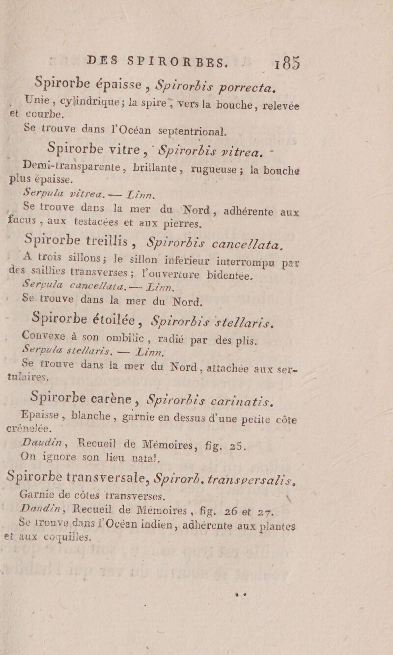 Spirorbe épaisse , Spirorbis porrecta, .. Unie, cylindrique; la spire , vers la bouche, relevée et courbe. Se trouve dans l'Océan septentrional. Spirorbe vitre , ‘ Sprrorbis vitrea. - Demi-transparente , brillante, rugueuse ; la bouché plus épaisse. Serpula vitrea. — Iinn. Se trouve dans la mer du ‘Nord, adhérente aux fucus , aux testacées et aux pierres. Spirorbe treillis, Spirorbis cancellata. À trois sillons; le sillon inférieur interrompu par des saillies transverses ; l’ouverture bidentée. S'erpula cancellata. — Lrnn. Se trouve dans la mer du Nord. Spirorbe étoilée, Soirorbis stellaris. Convexe à son ombiic, radié par des plis. Serpula stellaris. — Linn. Se trouve dans la mer du Nord, attachée aux ser- tulaires. Spirorbe carène, Spirorbis carinatis. Epaisse, blanche, garnie en dessus d’une petite côte crénelée, Daudin, Recueil de Mémoires, fig, 25. On ignore son lieu nata!, Spirorbe transversale, Spirorb. transversalis, = Garnie de côtes transverses. \ Daudin, Recueil de Mémoires , fig. 26 et 27. Se irouve dans l'Océan indien, adhérente aux plantes et aux coquilles.