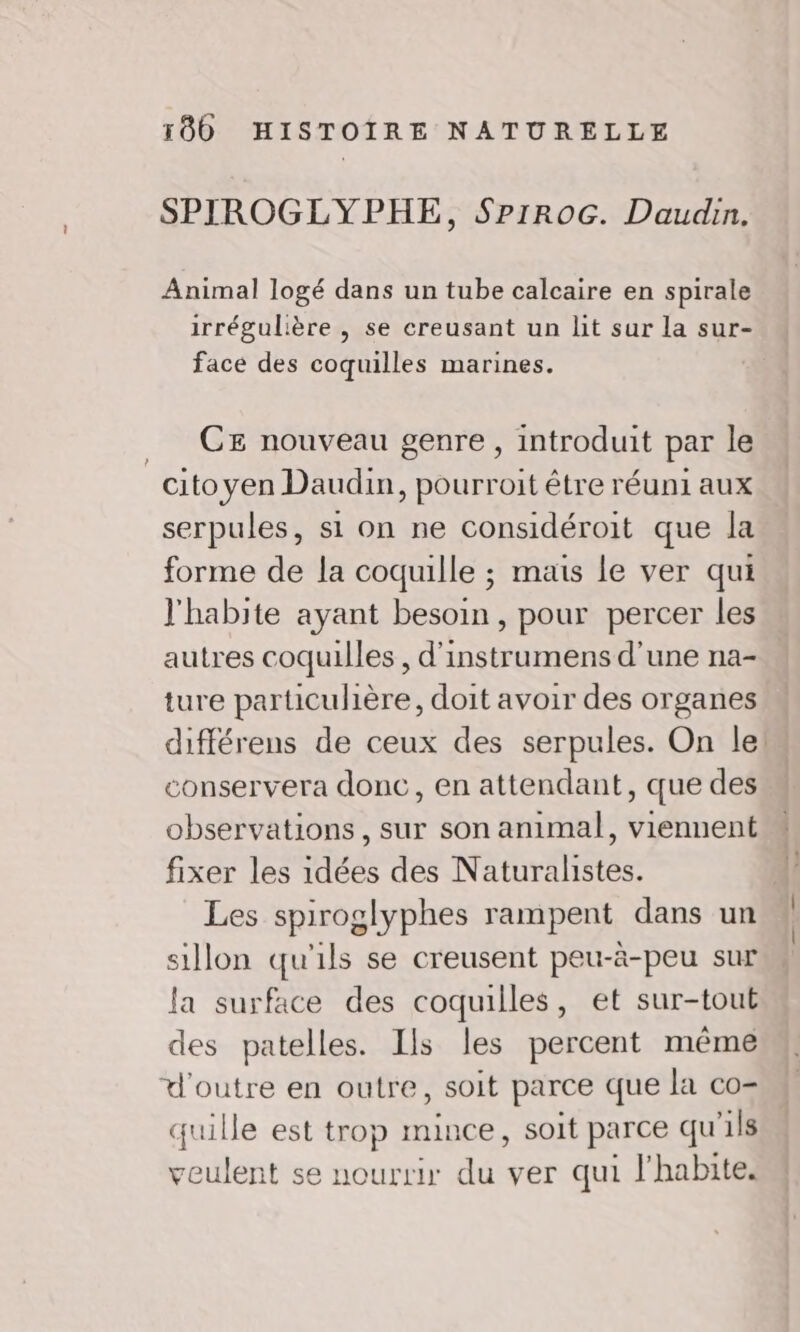 SPIROGLYPHE, SP1ROG. Daudin. Animal logé dans un tube calcaire en spirale irrégulière , se creusant un lit sur la sur- face des coquilles marines. CE nouveau genre , introduit par le cito yen Daudin, pourroit être réuni aux serpules, si on ne considéroit que la forme de la coquille ; mais le ver qui J'habite ayant besoin, pour percer les autres coquilles , d'instrumens d’une na- ture particulière, doit avoir des organes différens de ceux des serpules. On le! conservera donc, en attendant, que des observations, sur son animal, viennent fixer les idées des Naturalistes. Les spiroglyphes rampent dans un sillon qu'ils se creusent peu-à-peu sur la surface des coquilles, et sur-tout des patelles. Ils les percent même d'outre en outre, soit parce que la co- quille est trop mince, soit parce qu'ils veulent se nourrir du ver qui l'habite.