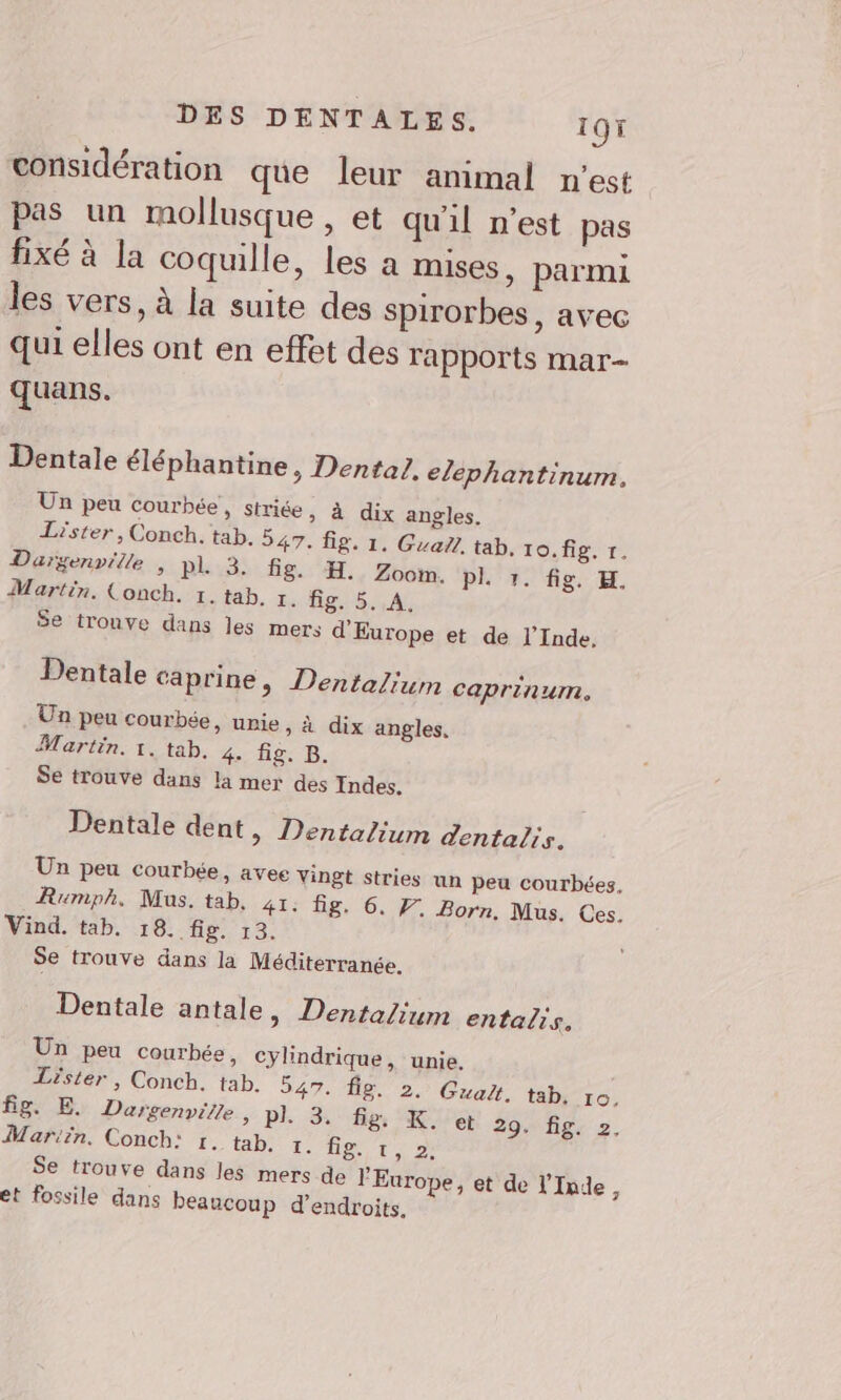 considération que leur animal n’est pas un mollusque , et qu'il n’est pas fixé à la coquille, les a mises, parmi les vers, à la suite des spirorbes, avec qui elles ont en effet des rapports mar- quans. Dentale éléphantine ; Dental, elephantinum. Un peu courhée , striée &gt; à dix angles. Lister, Conch. tab. 547. fig. 1. Guall, tab. 10. fig. fr. Duargenville , PL3: fg. H., Zoom. Pl. 7. fig. H. Martin. Conch. 1. tab. r. Ag. $..A, Se trouve dans les mers d'Europe et de l'Inde, Dentale caprine &gt; Dentalium caprinum. Un peu courbée, unie » à dix angles, Martin. 1. tab. 4. fig. B. Se trouve dans la mer des Indes. Dentale dent, Dentalium dentalis. Un peu courhée, avec vingt stries un peu courbées. Rumph, Mus. tab, 41: fig. 6. F. Born. Mus. Ces. Vind. tab. 18. fig. 13. Se trouve dans la Méditerranée. Dentale antale, Dentalium entalis, Un peu courbée, cylindrique, unie. Lister, Conch. tab. 547. À8. 2. Gualt. tab, IO, Bg. E. Dargenvite, pl. 3. fig, K. et 2 Mariin. Conch: r. tab. 1. HU Te Pi Se trou ve dans les mers de l'Europe, et de l'Inde, et fossile dans beaucoup d’endroits. JL: 2,