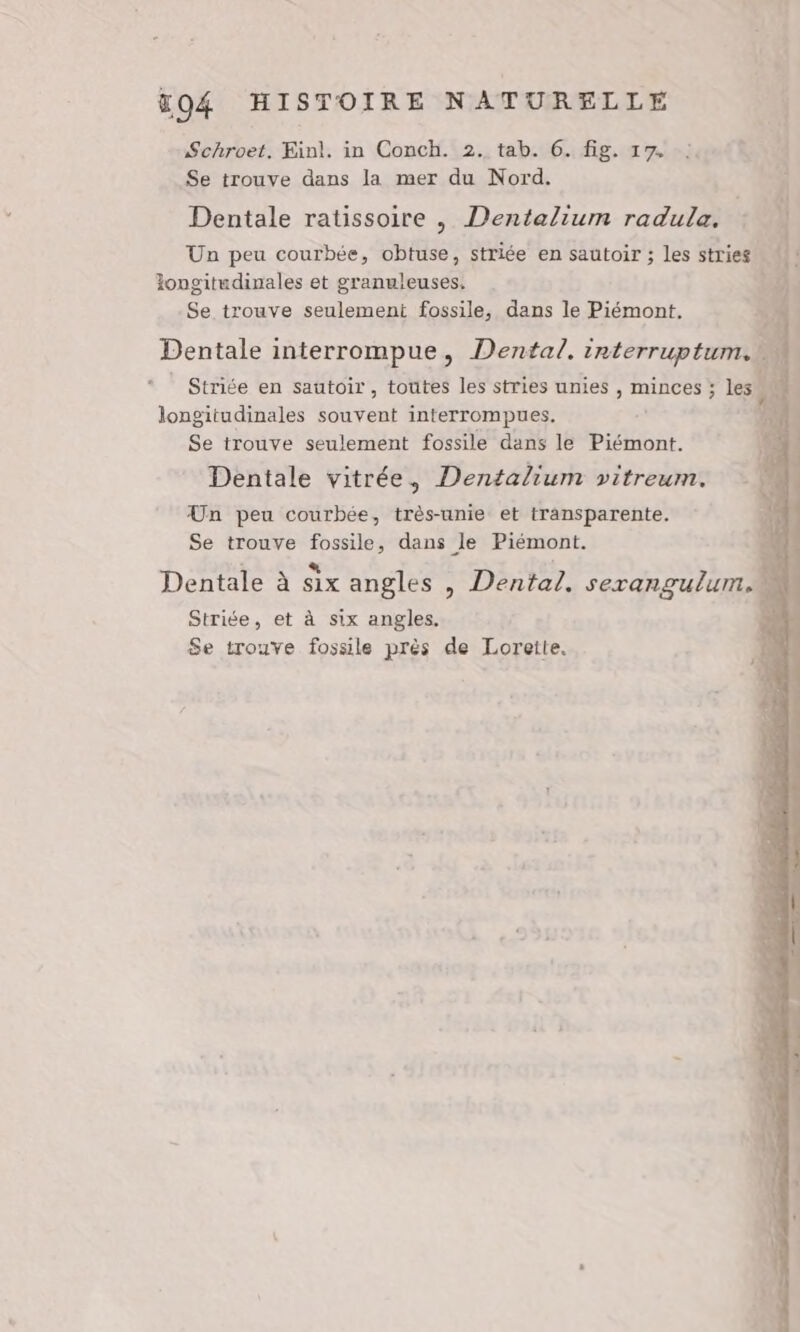 Schroet. Einl. in Conch. 2. tab. 6. fig. 17. Se trouve dans la mer du Nord. Dentale ratissoire , Dentalium radula. : Un peu courbée, obtuse, striée en sautoir ; les stries | Tongitudinales et granuleuses. ti Se trouve seulement fossile, dans le Piémont. Dentale interrompue, Dental. irterruptum. * Striée en sautoir, toutes les stries unies , minces ; les. longitudinales souvent interrompues. Se trouve seulement fossile dans le Piémont. Dentale vitrée, Dentalium vitreum. Un peu courbée, très-unie et transparente. Se trouve fossile, dans le Piémont. î * 4x | Dentale à six angles , Dental. sexangulum,. Striée, et à six angles. $Se trouve fossile près de Lorette.