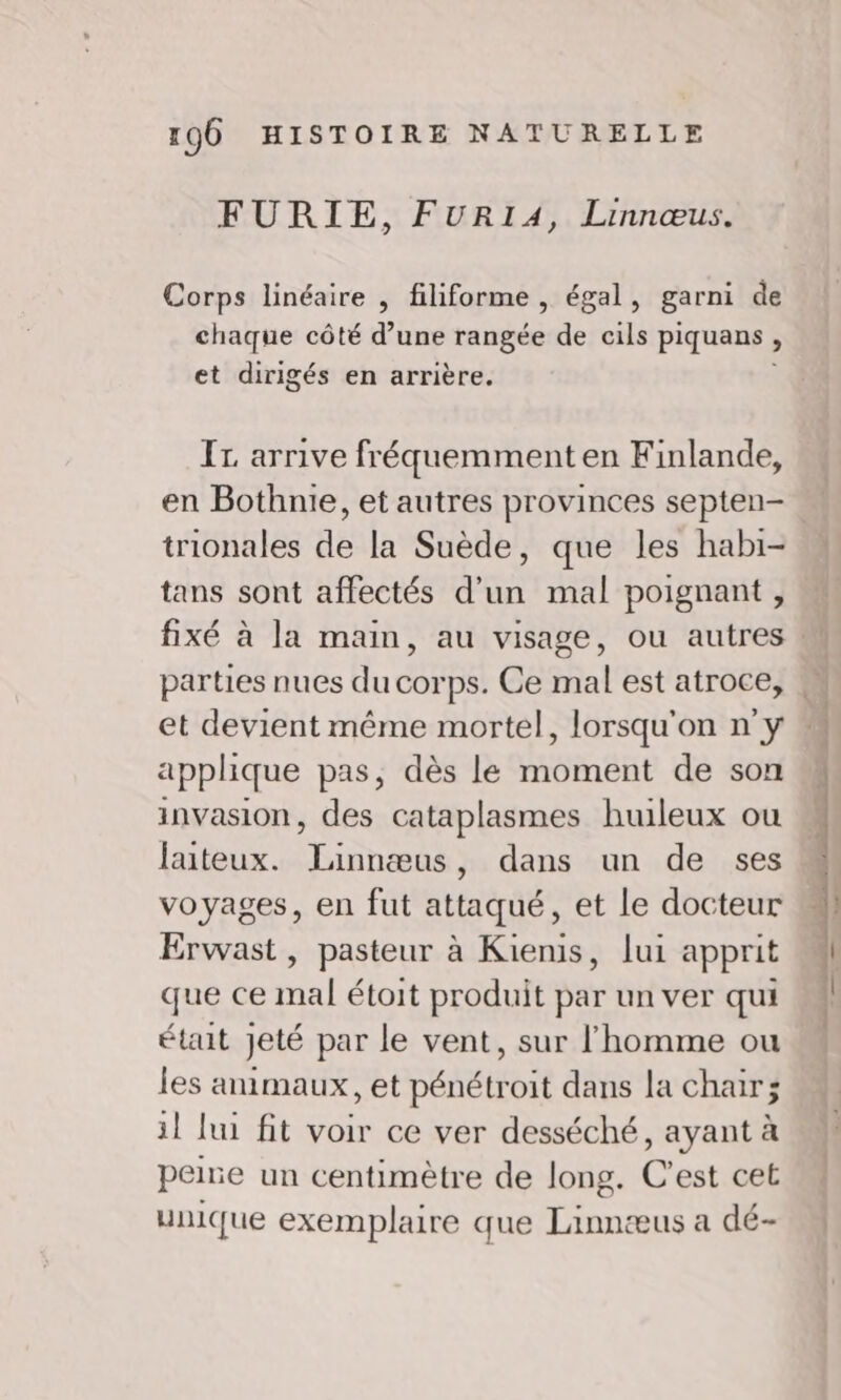 FURIE, FURIA, Linnœus. Corps linéaire , filiforme , égal, garni de chaque côté d’une rangée de cils piquans » et dirigés en arrière. I arrive fréquemment en Finlande, trionales de la Suède, que les habi- tans sont affectés d’un mal poignant , parties nues du corps. Ce mal est atroce, et devient même mortel, lorsqu'on n'y applique pas, dès le moment de son invasion, des cataplasmes huileux ou faiteux. Rene , dans un de ses voyages, en fut attaqué, et le docteur Erwast, pasteur à Kienis, lui apprit que ce mal étoit produit par un ver qui était jeté par le vent, sur l'homme ou les animaux, et pénétroit dans la chair il lui fit voir ce ver desséché, ayant à peine un centimètre de long. C’est cet unique exemplaire que Linnæus a dé-