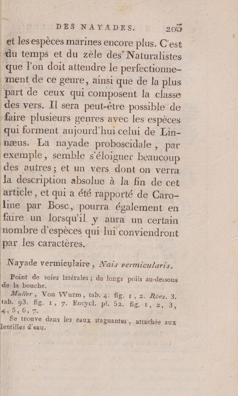 | et les espèces marines encore plus. C'est ‘du temps et du zèle des’ Naturalistes que l’on doit attendre le perfectionne- ment de ce genre, ainsi que de la plus ‘part de ceux qui composent la classe des vers. Il sera peut-être possible de faire plusieurs genres avec les espèces qui forment aujourd’hui celui de Lin- mæus. La nayade proboscidale , par exemple, semble s'éloigner beaucoup des autres ; et un vers dont on verra la description absolue à la fin de cet article , et qui a été rapporté de Caro- Line par Bosc, pourra également en are un lorsqu'il y aura un certain nombre d'espèces qui lui conviendront par les caractères. | Nayade vermicylaire , Nais vermicularts. | Point de soies latérales ; de longs poils au-dessous de:la bouche. Muller, Non VVurm, tab, 4. fige 1°, 2! Roës,r3: tab. 93. fig. 1, 7. Encycl. pl. 52. fig. 1, 28 4 5, 6, 7. Se trouve dans les eaux staÿnantes, attachée aux lentilles d’eau,