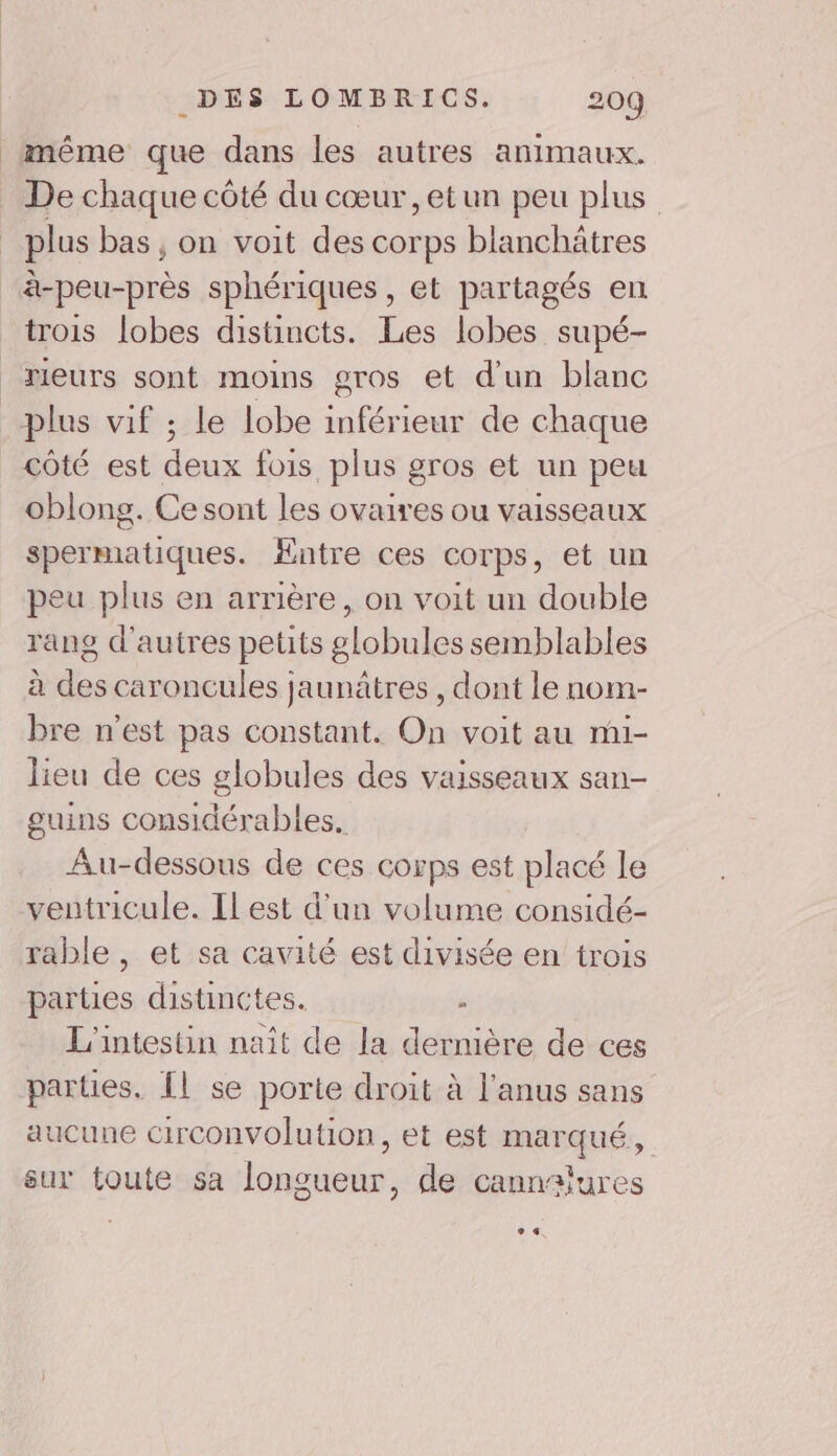 anême que dans les autres animaux. De chaque côté du cœur ,etun peu plus plus bas , on voit des corps blanchätres à-peu-près sphériques, et partagés en trois lobes distincts. Les lobes supé- rieurs sont moins gros et d'un blanc plus vif ; le lobe inférieur de chaque côté est deux fois plus gros et un peu oblong. Ce sont les ovaires ou vaisseaux spermatiques. Entre ces corps, et un peu plus en arrière, on voit un double rang d'autres petits globules semblables à des caroncules jaunâtres , dont le nom- bre n'est pas constant. On voit au mi- lieu de ces globules des vaisseaux san- guins considérables. Au-dessous de ces corps est placé le ventricule. Ilest d’un volume considé- rable , et sa cavité est divisée en trois parues distinctes. : L'intestin naît de la dernière de ces parties. {l se porte droit à l'anus sans aucune circonvolution, et est marqué, sur toute sa longueur, de cannalures