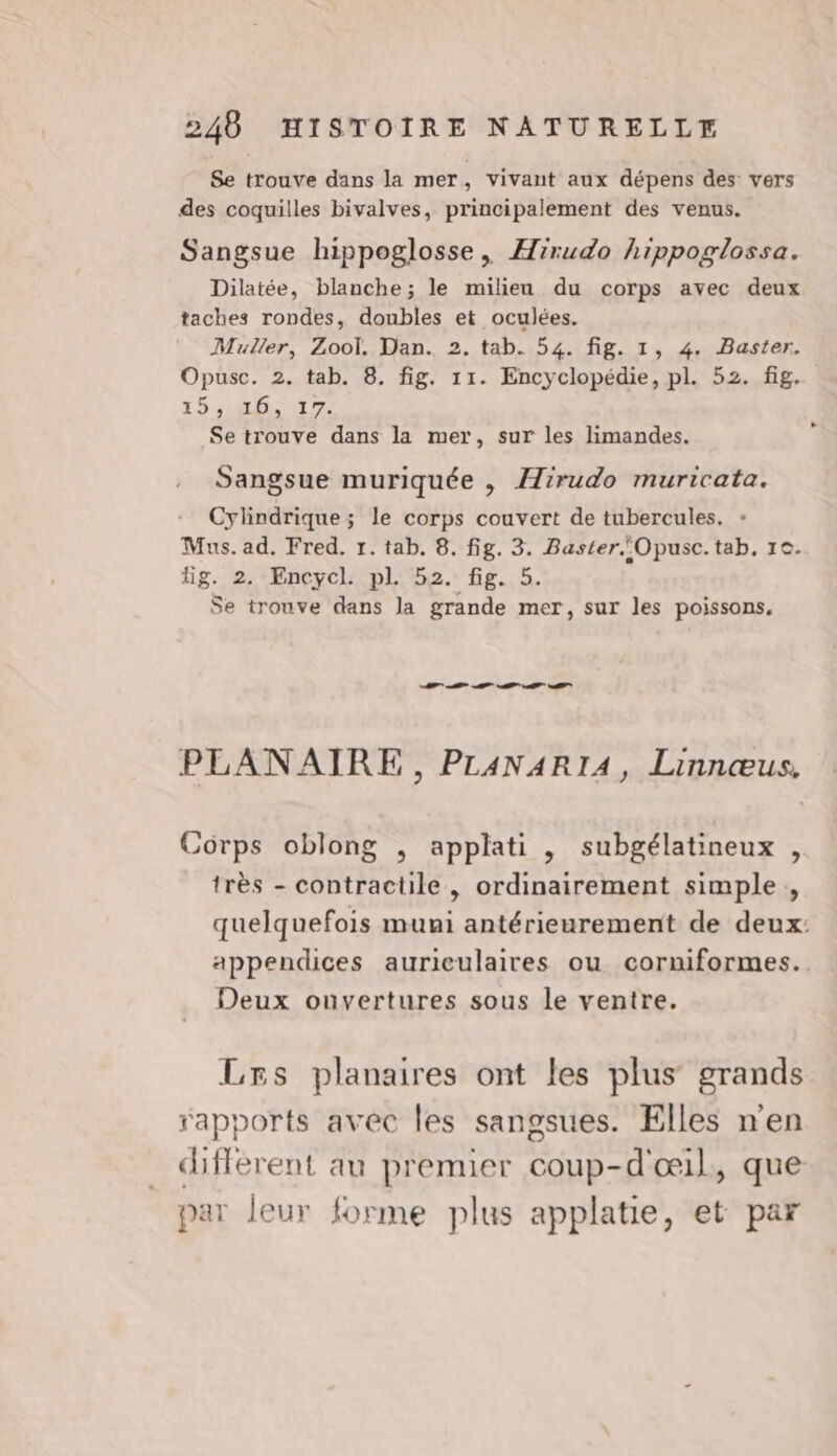 Se trouve dans la mer, vivant aux dépens des vers des coquilles bivalves, principalement des venus. Sangsue hippoglosse, Æirudo hippoglossa. Dilatée, blanche; le milieu du corps avec deux taches rondes, doubles et oculées. Muller, Zool. Dan. 2. tab. 54. fig. 1, 4. Baster. Opusc. 2. tab. 8. fig. 11. Encyclopédie, pl. 52. fig. LOU ALOL NT. Se trouve dans la mer, sur les limandes. Sangsue muriquée , Hirudo muricata. Cylindrique ; le corps couvert de tubercules. : Mus. ad. Fred. 1. tab. 8. fig. 3. Baster.Opusc.tab, 1e. Hg. 2. Encycl. pl 52. fig. 5. Se trouve dans la grande mer, sur les poissons, EE PLANAIRE, PLANARIA, Linnœus, Corps oblong , applati , subgélatineux , très - contractile , ordinairement simple , quelquefois muni antérieurement de deux: appendices aurieulaires ou corniformes. Deux ouvertures sous le ventre. Lrs planaires ont les plus grands rapports avec les sangsues. Elles n'en différent au premier coup-d'œil, que par leur forme plus applatie, et par