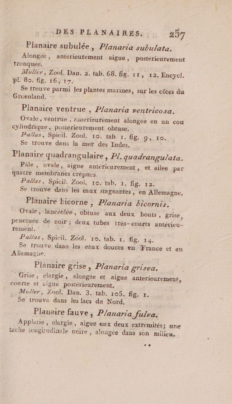 Planaire subulée, Panaria subulata. Alongée , antérieurement aigue , postérieurement tronquée. Mulier, Zool. Dan. 2, tab, 68. fig. 11 ; 12. Encycl. pl. 80. fig, 16, 17. Se trouve parmi les plantes marines, sur les côtes du Groenland, : _ Planaire ventrue | P/anaria ventricosa. Ovale, véntrüe , antérieurement alongée en un cou cylindrique, postérieurement obtuse. Palles, Spicil. Zool. 10. tab. r. HS 19% 10. Se trouve dans la mer des Indes. Planaire quadrangulaire » Pl. quadrangulata. Pâle, ovale, aigue antéricurement , et ailée par quätre membranes crêpues. Pallas, Spicil. Zool. to, tab, r. ASUD2, $e trouve dans les eaux Stagnantes, en Allemagne, Plänaire bicorne | P/anarta bicornts. ‘Ovale, lancéolée, obtuse ‘aux deux bouts, grise 4 ponctuée de noir; deux tubes très- courts antérieu- rement. à Pallas, Spicil. Zool. ‘ro. tab. r. fig. 14. Se trouve, dans les eaux douces en France et en Allemague, Planaire grise, P/anaria grisea. Grise, élargie, alongée et aigue antérieurement, courte et signé postérieurement, Muller, Zool. Dan. 3. tab. 105. fig. 1. Se trouve dans les lacs du Nord. Planaire fauve, Planaria fulya. Applatie, élargie, aigue aux deux extrémités; une tache jongifudinale noire , alongée dans son milieu. CE ;