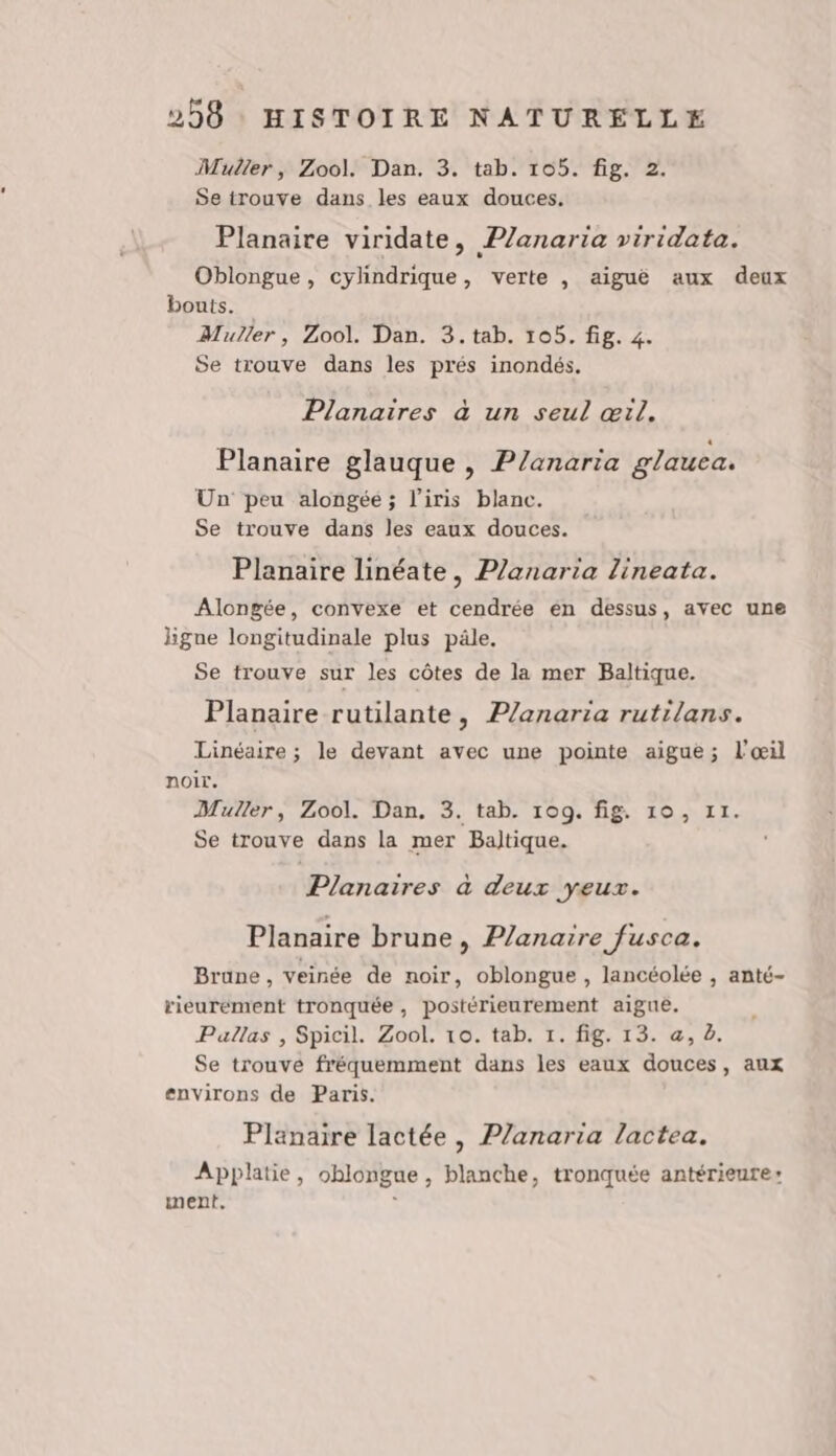 Muller, Zool. Dan. 3. tab. 105. fig. 2. Se trouve dans les eaux douces. Planaire viridate, Planaria viridata. Oblongue, cylindrique, verte , aiguè aux deux bouts. Muller, Zool. Dan. 3. tab. 105. fig. 4. Se trouve dans les prés inondés. Planaires à un seul œil. Planaire glauque , P/anaria glauca. Un peu alongée ; l'iris blanc. Se trouve dans les eaux douces. Planaire linéate, Planaria lineata. Alongée, convexe et cendrée en dessus, avec une ligne longitudinale plus pâle. Se trouve sur les côtes de la mer Baltique. Planaire rutilante, Planaria rutilans. Linéaire ; le devant avec une pointe aigue; l'œil noir. Muller, Zool. Dan. 3. tab. 109. fig. 19, 11. Se trouve dans la mer Baltique. Planaires à deux yeux. Planaire brune, Planaire fusca. Brape , veinée de noir, oblongue , lancéolée , anté- rieurément tronquée, postérieurement aiguê. Pallas , Spicil. Zool. 10. tab. 1. fig. 13. a, 2. Se trouve fréquemment dans les eaux douces, aux environs de Paris. Planaire lactée , Planaria lactea. Applatie, ohlongue, blanche, tronquée antérieure ment.