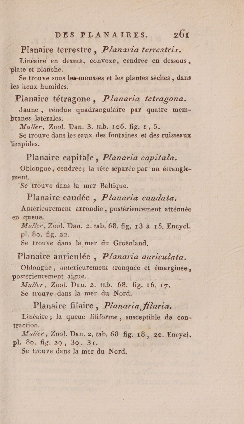 Planaire terrestre , P/anartia terrestris. Linéaire en dessus, convexe, cendrée en dessous, ‘plate et blanche. Se trouve sous les-mousses et les plantes sèches , dans les lieux humides. Planaire tétragone , P/anaria tetragona. Jaune , rendue quadrangulaire par quatre mem- branes latérales. Muller, Zool. Dan. 3. tab. 106. fig. 1, 5. Se trouve dans les eaux des fontaines et des ruisseaux limpides. Planaire capitale, P/anaria capitala. Oblongue, cendrée; la tête séparée par un étrangle- ment. Se trouve dans la mer Baltique. Planaire caudée , Planaria caudata. Antérieurement arrondie, postérieurement atténuée en queue, Muller, Zool. Dan. 2. tab. 68. fig. 13 à 15. Encycl. pl. 80. fig. 22. Se trouve dans la mer du Groënland, Planaire auriculée , P/anaria auriculata. Oblongue, antérieurement tronquée et émarginée, postérieurement aiguë. Muller, Zool. Dan. 2. tab. 68. fig. 16. 17. Se trouve dans la mer du Nord. Planaire filaire, P/anaria frlaria. Linéaire ; la queue filiforme, susceptible de con- traction. Muller, Zool. Dan. 2. tab. 68 fig. 18, 20. Encyel. pl: 90. 18:20, 50,32 $e trouve dans la mer du Nord,