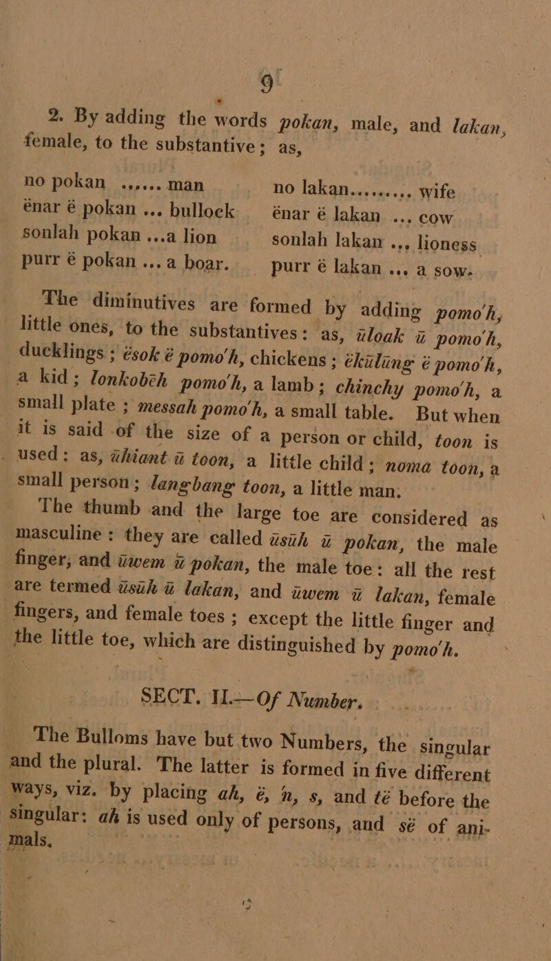 2. By adding the words pokan, male, and lakan, female, to the substantive ; as, no pokan .,,... man no lakan....... .» Wife enar é pokan ... bullock — énar é Jakan ... cow sonlah pokan ...a lion sonlah lakan .,, lioness purr € pokan ...a boar. purr é lakan ... a sow. The diminutives are formed by adding pomo'h, little ones, to the substantives: as, aloak i pomo h, ducklings ; ésok é pomo’h, chickens : hiding é pomo'h, a kid; lonkobch pomoh, a lamb; chinchy pomo'h, a small plate ; messah pomoh, a small table. But when it is said .of the size of a person or child, toon is . used: as, xhiant a toon, a little child: noma toon, a small person; langbang toon, a little man, The thumb and the large toe are considered as masculine: they are called aszh i pokan, the male finger, and awem x pokan, the male toe: all the rest are termed wsuh &amp; lakan, and awem i lakan, female fingers, and female toes 3 except the little finger and the little toe, which are distinguished by pomo‘h. SECT. IL.—of Number. The Bulloms have but two Numbers, the singular and the plural. The latter is formed in five different ways, viz. by placing ah, é, mn, s, and té before the Singular: ah is used only of persons, and sé of ani- mals, | .