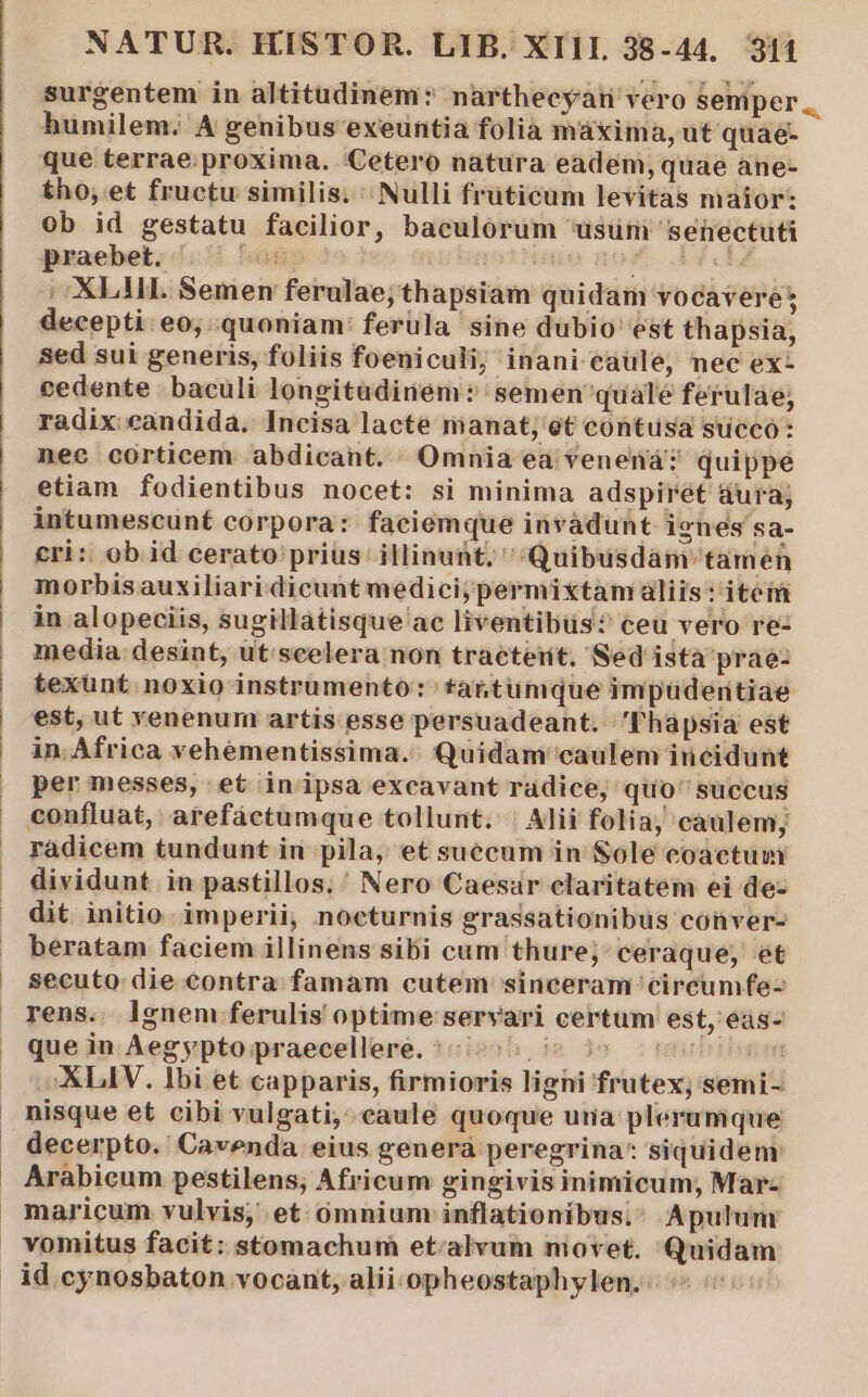 surgentem in altitudinem: narthecyain vero Semper. humilem. A genibus exeuntia folia máxima, ut quae- que terrae. proxima. Cetero natura eadem, quae ane- tho, et fructu similis. ^ Nulli fruticum levitas maior: ob id gestatu facilior, baculorum usum 'sehectuti praebet. | HE 5 WU AF .- XLHI. Semen ferulae; thapsiam quidam vocaveres decepti: eo, quoniam: ferüla sine dubio est thapsia, Sed sui generis, foliis foeniculi; inani eaule, nec ex- cedente | baculi longitudinem: semen'quale ferulae; radix candida. Incisa lacte manat; et contusa sueco: nec corticem abdicant. Omnia ea venená? quippe etiam fodientibus nocet: si minima adspirét &amp;ura; intumescunt corpora: faciemque invàdunt ignes sa- cri: ob id cerato prius. illinunt, Quibusdam tamen morbisauxiliari dicunt medici; permixtam aliis: itei in alopeciis, sugillatisque ac liventibus:? ceu vero re- media. desint, ut'scelera non tractent. Sed istà prae- texünt noxio instrumento: tantumque impüderntiae est, ut venenum artis esse persuadeant. 'Thapsia est in. Africa vehémentissima.: Quidam caulem incidunt per messes, et inipsa excavant radice, quo' succus confluat, arefáctumque tollunt. | Alii folia, caulem; radicem tundunt in pila, et suecum in Sole coactum dividunt in pastillos.' Nero Caesar claritatem ei de- dit initio. imperii, nocturnis grassationibus conver- beratam faciem illinens sibi cum thure; ceraque, et secuto. die contra famam cutem sinceram circumfe- rens. lgnem ferulis optime servari certum est, eas- que in Aegypto praecellere. 55 7 'XLIV. lbi et capparis, firmioris ligni frutex; semi- nisque et cibi vulgati, caule quoque una plerumque decerpto. Cavenda eius generá peregrina: siquidenr Arábicum pestilens, Africum gingivis inimicum, Mar- maricum vulvis;' et: ómnium inflationibus;; Apulum vomitus facit: stomachum et:alvum movet. Quidam id cynosbaton vocant, alii -opheostaphylen.: