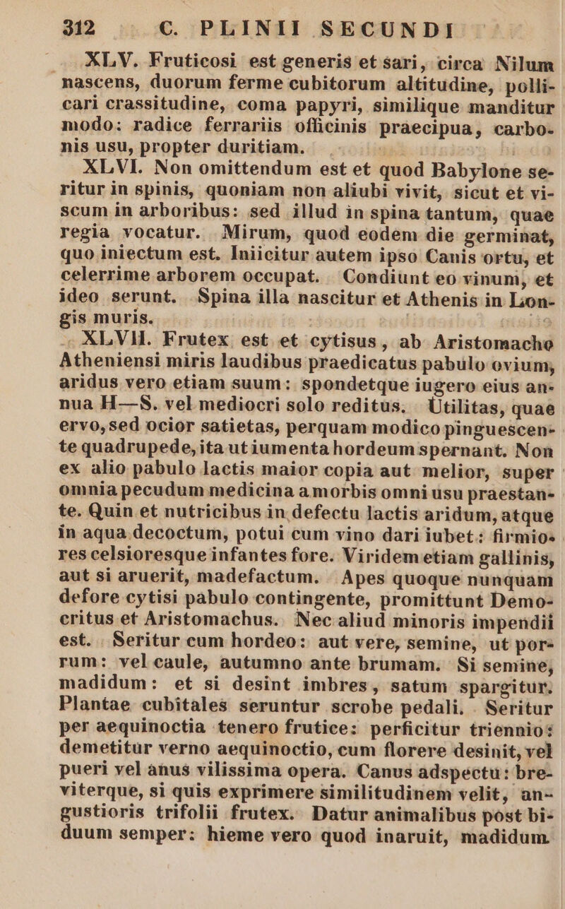 XLV. Fruticosi est generis et sari, circa Nilum nascens, duorum ferme cubitorum altitudine, polli- cari crassitudine, coma papyri, similique manditur modo: radice ferrariis officinis praecipua, carbo- nis usu, propter duritiam. | 2. hi XLVI. Non omittendum est et quod Babylone se- ritur in spinis, quoniam non aliubi vivit, sicut et vi- scum in arboribus: sed illud in spina tantum, quae regia vocatur. Mirum, quod eodem die germinat, quo iniectum est. Iniicitur autem ipso Canis ortu, et celerrime arborem occupat. Condiunt eo vinuni, et ideo serunt. Spina illa nascitur et Athenis in Lion- gis muris. | | i49 - XLVM. Frutex est et cytisus, ab Aristomacho Atheniensi miris laudibus praedicatus pabulo ovium; aridus vero etiam suum: spondetque iugero eius an- nua H—S. vel mediocri solo reditus. Ütilitas, quae ervo,sed ocior satietas, perquam modico pinguescen- te quadrupede,ita utiumentahordeum spernant. Non ex alio pabulo lactis maior copia aut melior, super omnia pecudum medicina a morbis omni usu praestan- te. Quin et nutricibus in. defectu lactis aridum, atque in aqua.decoctum, potui cum vino dari iubet: firmios res celsioresque infantes fore. Viridem etiam gallinis, aut si aruerit, madefactum. . Apes quoque nunquam defore cytisi pabulo contingente, promittunt Demo- critus et Aristomachus.. Nec aliud minoris impendii est. . Seritur cum hordeo: aut vere, semine, ut por- rum: velcaule, autumno ante brumam. | Si semine, madidum: et si desint imbres, satum spargitur. Plantae cubitales seruntur scrobe pedali, . Seritur per aequinoctia tenero frutice: perficitur triennio: demetitur verno aequinoctio, cum florere desinit, vel pueri vel anus vilissima opera. Canus adspectu: bre- viterque, si quis exprimere similitudinem velit, an- gustioris trifolii frutex. Datur animalibus post bi- duum semper: hieme vero quod inaruit, madidum
