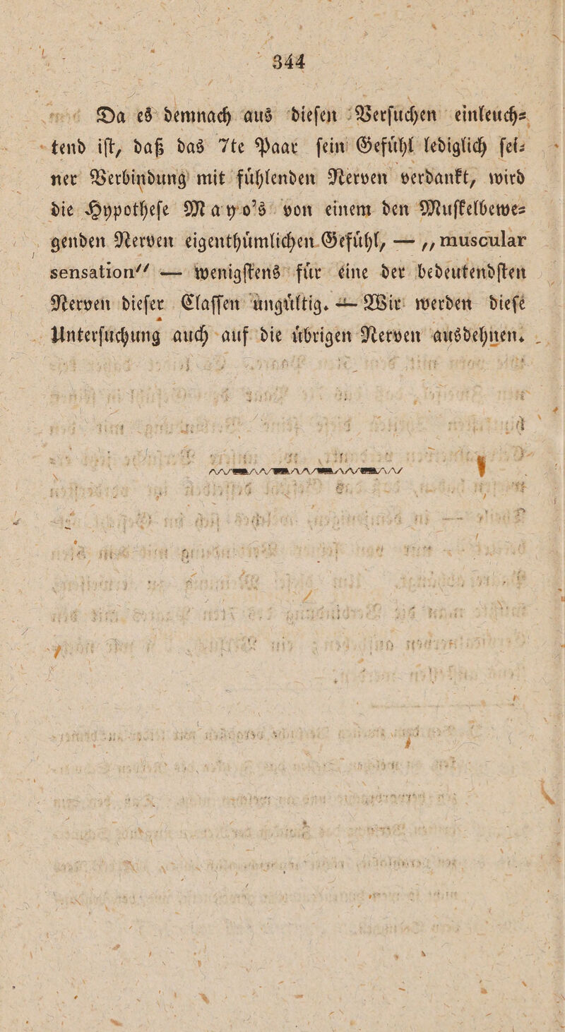 Da es demnach aus dieſen Verſuchen einleuch⸗ tend iſt, daß das 7te Paar fein Gefuͤhl lediglich ſei⸗ . ner Verbindung mit fuͤhlenden Nerven verdankt, wird die Hypotheſe Mayo's von einem den Muſkelbewe⸗ genden Nerven eigenthuͤmlichen Gefühl, — „muscular sensation”? — wenigſtens fuͤr eine der bedeutendſten Nerven dieſer Claſſen unguͤltig. — Wir werden dieſe 8 Unterſuchung auch auf die uͤbrigen Nerven ausdehnen. ie å &amp; d i 4 ir ; Fr 8 3 7 * #3 1 11 N NIEREN —.NAVavA… VAVAVE Y y 2} 4 6 &amp; i 8 EA 15 5 Øl 5 4 Y Fe 7 0 #2 N: / 92 A Pa U W i 1 si 2 N 1 * N => sa N —
