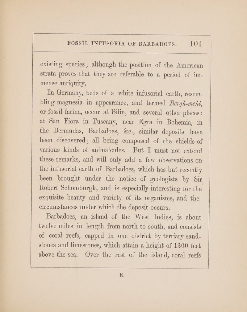 pe eee rarer eee a FOSSIL INFUSORIA OF BARBADORS. 10l existing species; although the position of the American strata proves that they are referable to a period of im- mense antiquity. In Germany, beds of a white infusorial earth, resem- bling magnesia in appearance, and termed Bergh-medl, or fossil fara, occur at Bilin, and several other places: at San Fiora in Tuscany, near Egra in Bohemia, in the Bermudas, Barbadoes, &amp;c., similar deposits have been discovered; all being composed of the shields of various kinds of animalcules. But I must not extend these remarks, and will only add a few observations on the infusorial earth of Barbadoes, which has but recently been brought under the notice of geologists by Sir Robert Schomburgk, and is especially interesting for the exquisite beauty and variety of its organisms, and the circumstances under which the deposit occurs. Barbadoes, an island of the West Indies, is about twelve miles in length from north to south, and consists of coral reefs, capped in one district by tertiary sand- stones and limestones, which attain a height of 1200 feet above the sea. Over the rest of the island, coral reefs K