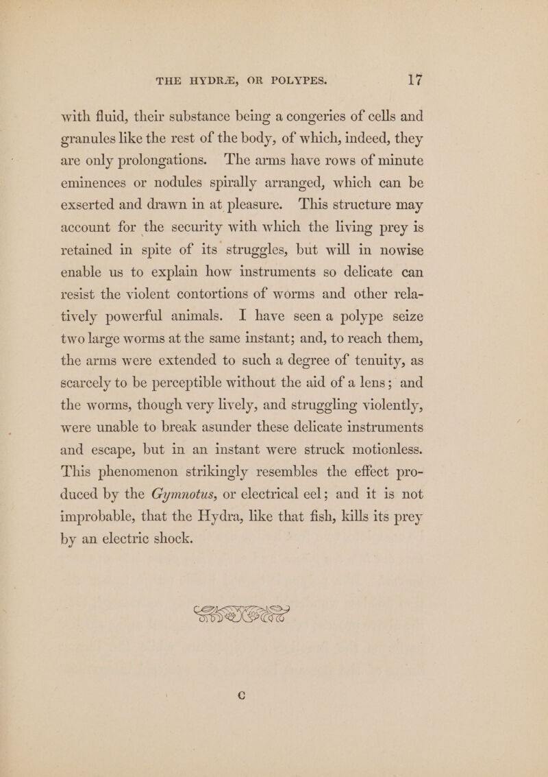 Land with fluid, their substance being a congeries of cells and granules like the rest of the body, of which, indeed, they are only prolongations. ‘The arms have rows of minute eminences or nodules spirally arranged, which can be exserted and drawn in at pleasure. ‘This structure may account for the security with which the living prey is retained in spite of its struggles, but will in nowise enable us to explain how instruments so delicate can resist the violent contortions of worms and other rela- tively powerful animals. I have seen a polype seize two large worms at the same instant; and, to reach them, the arms were extended to such a degree of tenuity, as scarcely to be perceptible without the aid of a lens; and the worms, though very lively, and struggling violently, were unable to break asunder these delicate instruments and escape, but in an instant were struck motionless. This phenomenon strikingly resembles the effect pro- duced by the Gymnotus, or electrical eel; and it is not improbable, that the Hydra, like that fish, kills its prey by an electric shock.