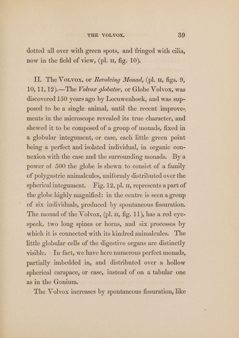 dotted all over with green spots, and fringed with cilia, now in the field of view, (pl. 1, fig. 10). II. The Vorvox, or Revolving Monad, (pl. u, figs. 9, 10, 11, 12).—The Volvox globator, or Globe Volvox, was discovered 150 years ago by Leeuwenhoek, and was sup- posed to be a single animal, until the recent improve- ments in the microscope revealed its true character, and shewed it to be composed of a group of monads, fixed in a globular integument, or case, each little green point being a perfect and isolated individual, in organic con- nexion with the case and the surrounding monads. Bya power of 500 the globe is shewn to consist of a family of polygastric animalcules, uniformly distributed over the spherical integument. Fig. 12, pl. u, represents a part of the globe highly magnified: in the centre is seen a group of six individuals, produced by spontaneous fissuration. The monad of the Volvox, (pl. u, fig. 11), has a red eye- speck, two long spines or horns, and six processes by which it is connected with its kindred animalcules. The little globular cells of the digestive organs are distinctly visible. In fact, we have here numerous perfect monads, partially imbedded in, and distributed over a hollow spherical carapace, or case, instead of on a tabular one as in the Gonium. The Volvox increases by spontaneous fissuration, like