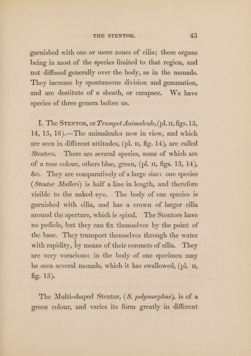 garnished with one or more zones of cilia; these organs being in most of the species limited to that region, and not diffused generally over the body, as in the monads. They increase by spontaneous division and gemmation, and are destitute of a sheath, or carapace. We have species of three genera before us. I. The Stentor, or Trumpet Animalcule, (pl. u, figs. 13, 14, 15, 16).—The animalcules now in view, and which are seen in different attitudes, (pl. u, fig. 14), are called Stentors. There are several species, some of which are of a rose colour, others blue, green, (pl. u, figs. 18, 14), &amp;c. They are comparatively of a large size: one species (Stentor Mulleri) is half a line in length, and therefore visible to the naked eye. The body of one species is garnished with cilia, and has a crown of larger cilia around the aperture, which is spiral. The Stentors have no pedicle, but they can fix themselves by the point of the base. They transport themselves through the water with rapidity, by means of their coronets of cilia. They - are very voracious: in the body of one specimen may be seen several monads, which it has swallowed, (pl. u, fig. 13). The Multi-shaped Stentor, (S. polymorphus), is of a green colour, and varies its form greatly in different