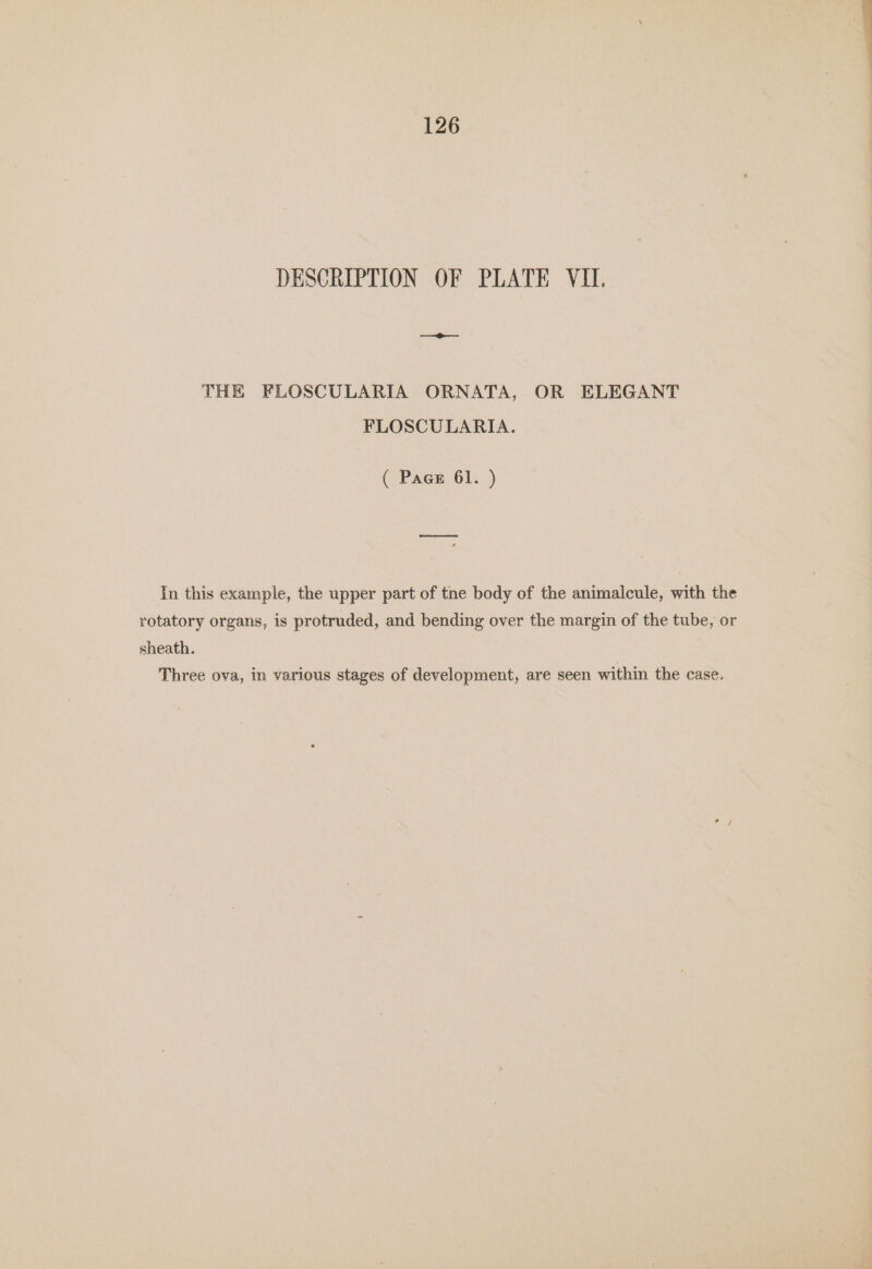 (126 DESCRIPTION OF PLATE VII. THE FLOSCULARIA ORNATA, OR ELEGANT FLOSCULARIA. ( Pace 61. ) In this example, the upper part of the body of the animalcule, with the rotatory organs, is protruded, and bending over the margin of the tube, or sheath. Three ova, in various stages of development, are seen within the case.