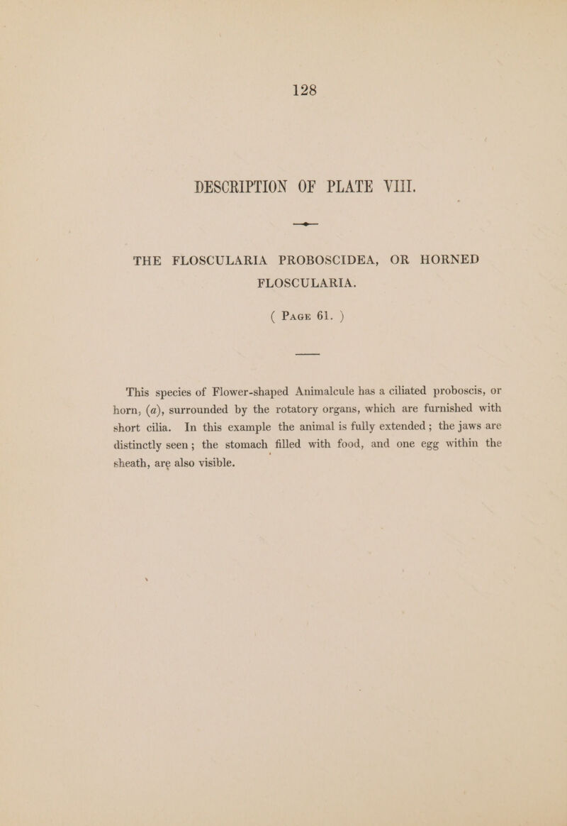 128 DESCRIPTION OF PLATE VIII. THE FLOSCULARIA PROBOSCIDEA, OR HORNED FLOSCULARIA. ( Pace 61. ) This species of Flower-shaped Animalcule has a ciliated proboscis, or horn, (a), surrounded by the rotatory organs, which are furnished with short cilia. In this example the animal is fully extended; the jaws are distinctly seen; the stomach filled with food, and one egg within the sheath, are also visible.
