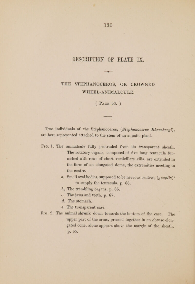 130 DESCRIPTION OF PLATE IX. THE STEPHANOCEROS, OR CROWNED WHEEL-ANIMALCULE. ( Pace 63. ) Two individuals of the Stephanoceros, (Stephanoceros Ehrenbergi), are here represented attached to the stem of an aquatic plant. Fig. 1. The animalcule fully protruded from its transparent sheath. The rotatory organs, composed of five long tentacula fur- nished with rows of short verticillate cilia, are extended in the form of an elongated dome, the extremities meeting in the centre. a, Small oval bodies, supposed to be nervous centres, (ganglia)? to supply the tentacula, p. 66. b, The trembling organs, p. 66. c, The jaws and teeth, p. 67. d, The stomach. e, The transparent case. Fic. 2. The animal shrunk down towards the bottom of the case. The upper part of the arms, pressed together in an obtuse elon- gated cone, alone appears above the margin of the sheath, p- 65.