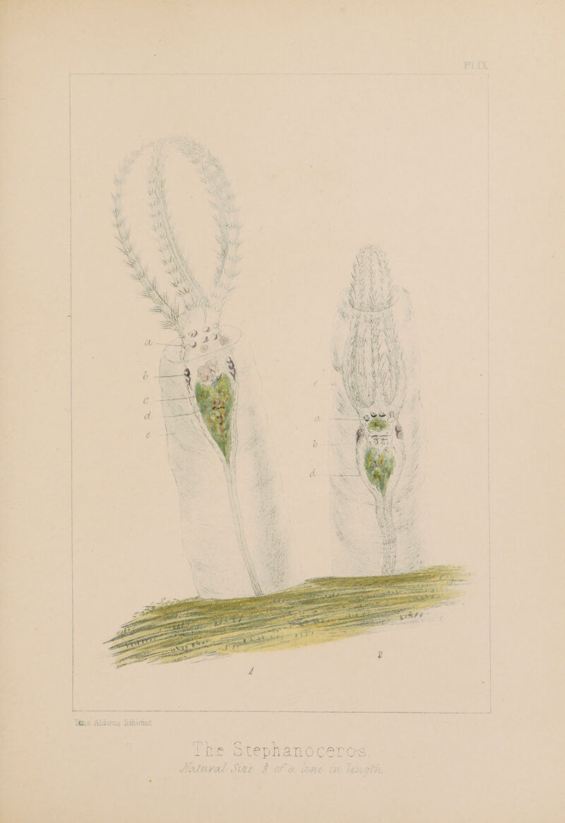 See | Sno eae Tes Aldous hthotmt / v ata oY os] oie ole pia a OCeL Os.