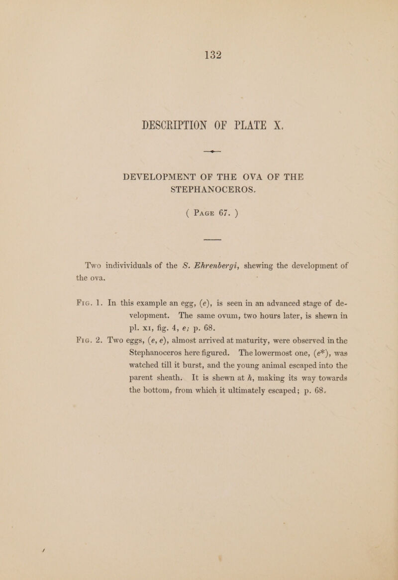 132 DESCRIPTION OF PLATE X. DEVELOPMENT OF THE OVA OF THE STEPHANOCEROS. ( Page 67. ) Two indivividuals of the S. Ehrenbergi, shewing the development of the ova. Fre. 1. In this example an egg, (e), is seen in an advanced stage of de- velopment. The same ovum, two hours later, is shewn in pl. x1, fig. 4, e; p. 68. Fic. 2. Two eggs, (e, e), almost arrived at maturity, were observed in the Stephanoceros here figured. The lowermost one, (e*), was watched till it burst, and the young animal escaped into the parent sheath. It is shewn at h, making its way towards the bottom, from which it ultimately escaped; p. 68.