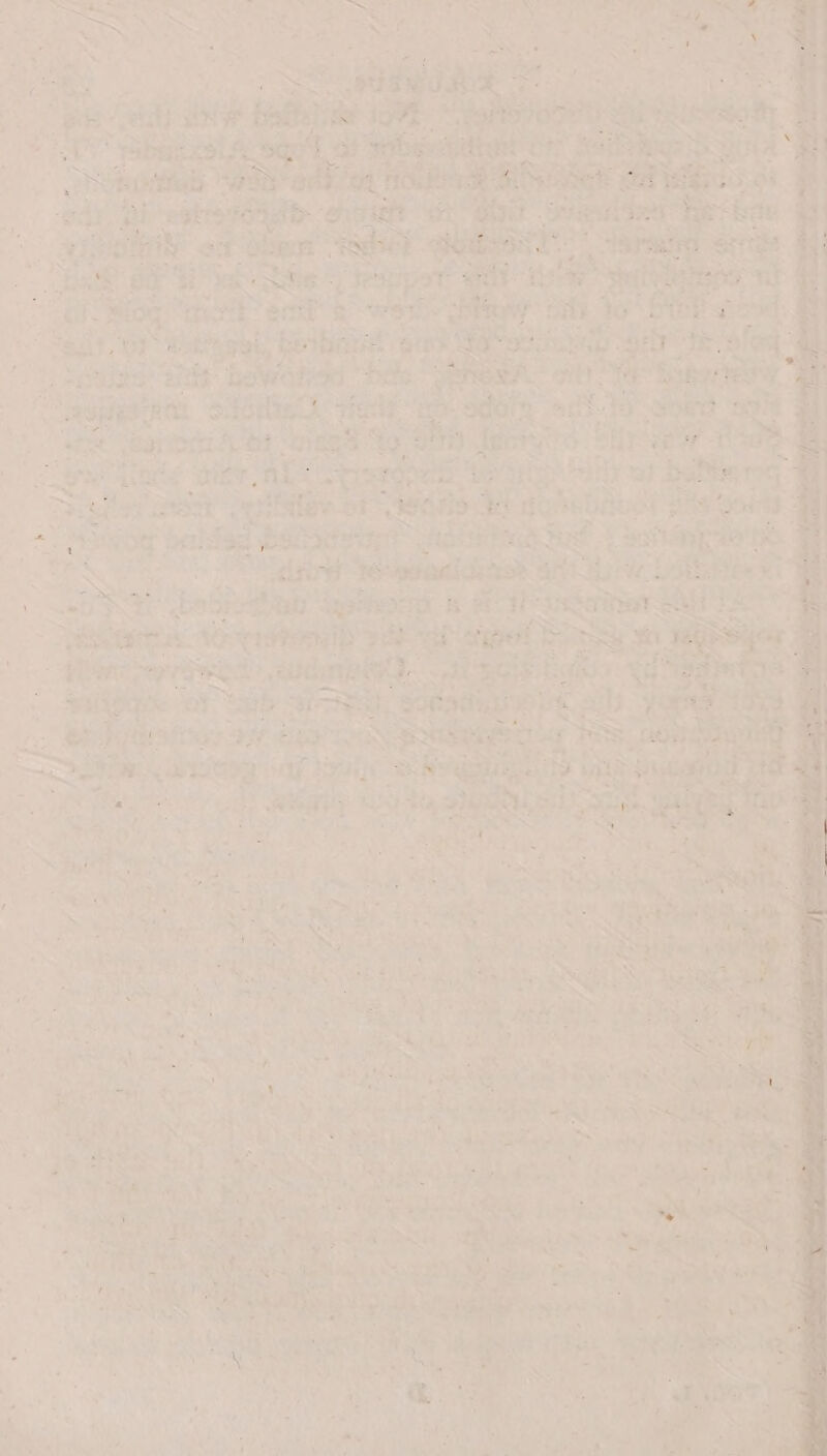 1 =, as ots y* . ars o~ zs ‘ip &gt; Fee . Riz f , Ate ie m aN San i eh  7 _ ae iar st. pines ‘s ‘ Of pry ek Bes chs ais ii ot fenced =a ¢ Oo ENE ay: cite RS Sik po a S i- ae le tes ~ re nie ots ‘eveanes. on R pattie raat Sibel si RR aor Ae “ying Yas ae ie - aeneee ae ater, al: er ree erate ary ad Sate eee Tey eT ele oI eae igs ies isUabel Hig Otay | Ph Sey eS . ext ogh bce Rss te Pre: i.’ Ray FA atk ngret oe REG (oe Pattee rd We ppadin: asieteoe ‘Ber tC LSS Hee et e LADS bedi aptharp. baat eT Sater: tor enip pee i tiger aS SF . . Sa eS are muaneeny.. &lt;A RGS Regier: “Sigs ‘ange ‘of Sb iii ‘Song K ails oe ee, alt Pe eisicia, a Ep  wENG potieg FS) a“ tan | rte ad haha Sia ra fae Sas ear vt ie 5 OA Feo tee &gt; Re aay ae SS ba Se : ~~ Wet os ; F ; 4 2 ' _ WA a!  = at ; _ | = been ” &amp; “? ; r ‘~* i . : ~ cy Se = a0 ote | “kh aN Ee ‘ 4 et s to) Tyr Abe, + * a Tey : ‘nh: . ties R : A he A) 4, “Cae mS, 4 Pe ot . pe Cane * . La ad . * i yi \ i ; . . ‘ im ao hy ponies Fd) sade a : Leu re + vies : i Gat f ¥ 4 ¥ 7 . is « Pay &gt; rere cs ty: G2 “ ‘ , ths ars 2 an ‘EES y or ‘i a a ek y oY a ’ ¢ oO At : : . c ae ee eee 1 ee ear pea: bee FOR te a i erY 7 ; } Jo ae. oe “ea | tee +s 4, yy mabe ‘ er + ae sSun- ae : Sd as ae) o ne See