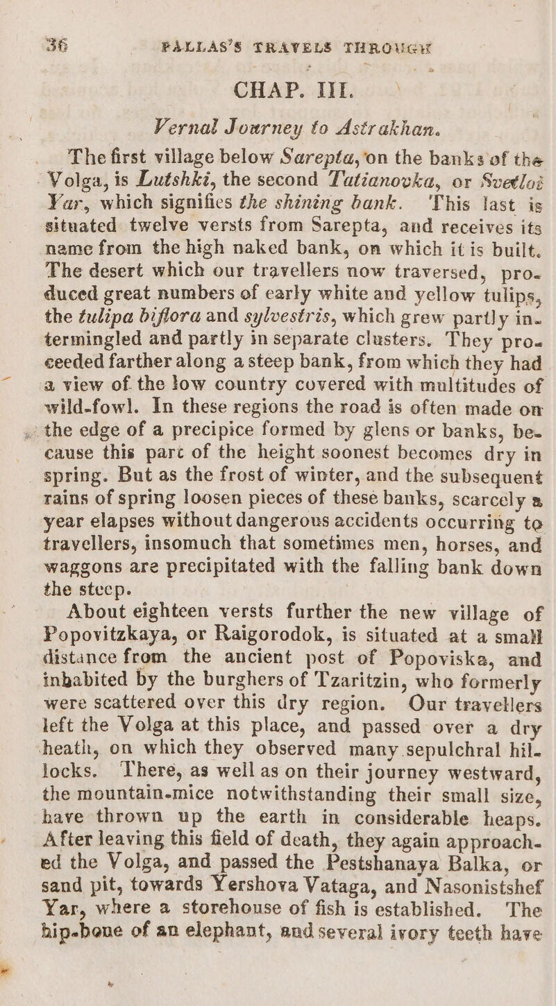 Ss CHAP. IIL. Vernal Journey to Astrakhan. The first village below Sarepta,'on the banks of the Volga, is Lutshki, the second Tatianovka, or Svetloi Yar, which signifies the shining bank. ‘This last is situated twelve versts from Sarepta, and receives its name from the high naked bank, on which it is built. The desert which our travellers now traversed, pro- duced great numbers of carly white and yellow tulips, the tulipa biflora and sylvestris, which grew partly in. termingled and partly in separate clusters. They pro- ceeded farther along asteep bank, from which they had a view of the low country covered with multitudes of wild-fowl. In these regions the road is often made on .. the edge of a precipice formed by glens or banks, be- cause this parc of the height soonest becomes dry in _ spring. But as the frost of winter, and the subsequent rains of spring loosen pieces of these banks, scarcely a year elapses without dangerous accidents occurring te travellers, insomuch that sometimes men, horses, and waggons are precipitated with the falling bank down the steep. About eighteen versts further the new village of Popovitzkaya, or Raigorodok, is situated at a small distance from the ancient post of Popoviska, and inbabited by the burghers of Tzaritzin, who formerly were scattered over this dry region. Our travellers left the Volga at this place, and passed over a dry heath, on which they observed many sepulchral hil. locks. ‘There, as well as on their journey westward, the mountain-mice notwithstanding their small size, have thrown up the earth in considerable heaps. After leaving this field of death, they again approach- ed the Volga, and passed the Pestshanaya Balka, or sand pit, towards Yershova Vataga, and Nasonistshef Yar, where a storehouse of fish is established. The hip-bene of an elephant, and several ivory teeth have