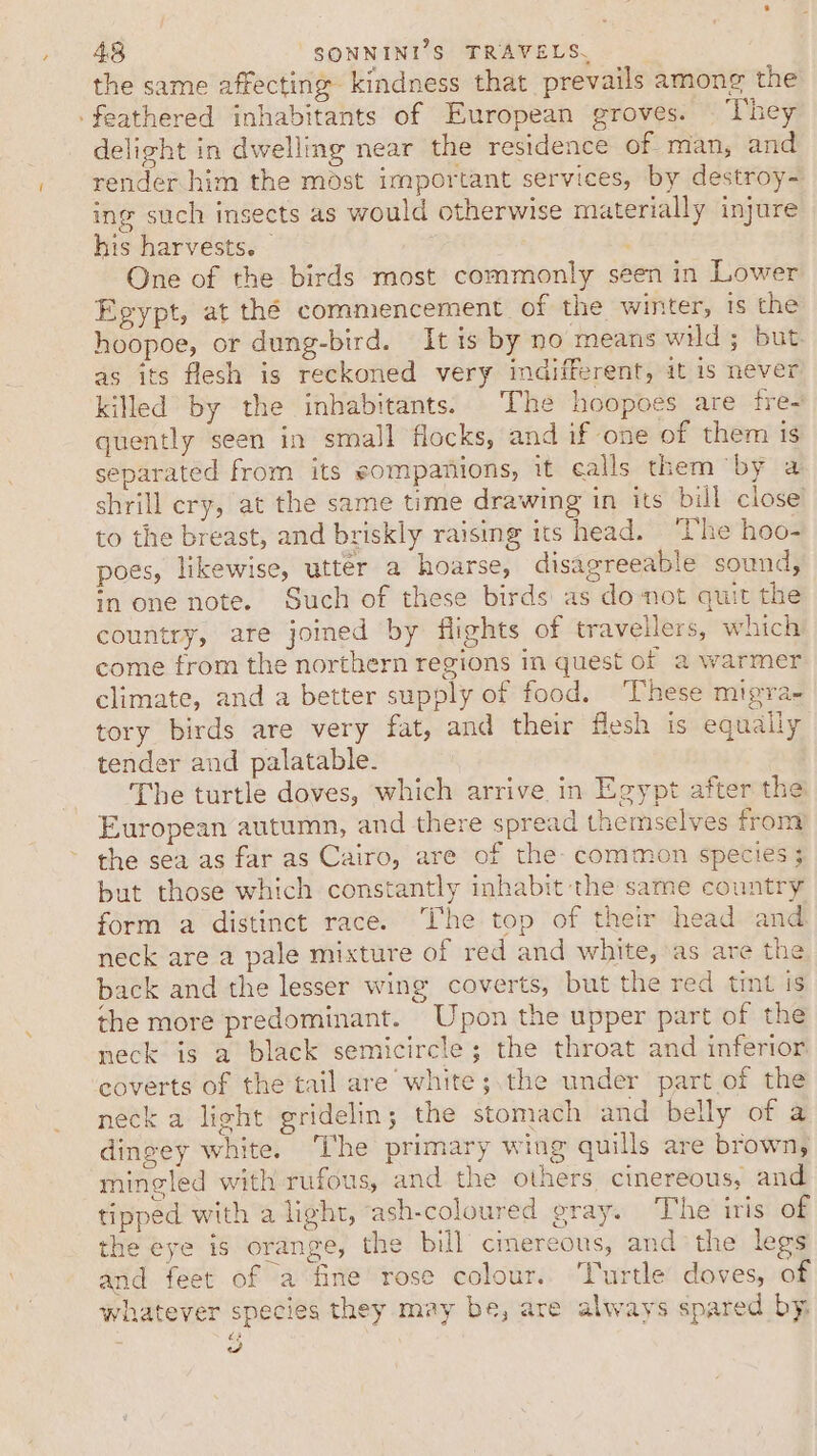 the same affecting kindness that prevails among the ‘feathered inhabitants of European groves. ‘They delight in dwelling near the residence of man, and render him the médst important services, by destroy- ing such insects as would otherwise materially injure his harvests. | ; One of the birds most commonly seen in Lower Egypt, at the commencement of the winter, 1s the hoopoe, or dung-bird. It is by no means wild 5 but. as its flesh is reckoned very indifferent, it is never killed by the inhabitants. The hoopoes are fre- quently seen in small flocks, and if one of them is separated from its eompanions, it calls them by a shrill ery, at the same time drawing in its bill close’ to the breast, and briskly raising its head. “Phe hoo- poes, likewise, utter a hoarse, disagreeable sound, in one note. Such of these birds as donot quit the country, are joined by flights of travellers, which come from the northern regions in quest of a warmer climate, and a better supply of food. These mipra- tory birds are very fat, and their flesh is equally tender and palatable. The turtle doves, which arrive in Egypt after the European autumn, and there spread themselves from the sea as far as Cairo, are of the- common species; but those which constantly inhabit the same country form a distinct race. The top of their head and. neck are a pale mixture of red and white, as are the back and the lesser wing coverts, but the red tint is the more predominant. Upon the upper part of the neck is a black semicircle; the throat and inferior eoverts of the tail are white ;.the under part of the neck a light gridelin; the stomach and belly of a dingey white. The primary wing quills are brown, mingled with rufous, and the others cinereous, and tipped with a light, “ash-coloured gray. The iris of the eye is orange, the bill cimereous, andthe legs and feet of a fine rose colour.. Turtle doves, of whatever species they may be, are always spared by, ws