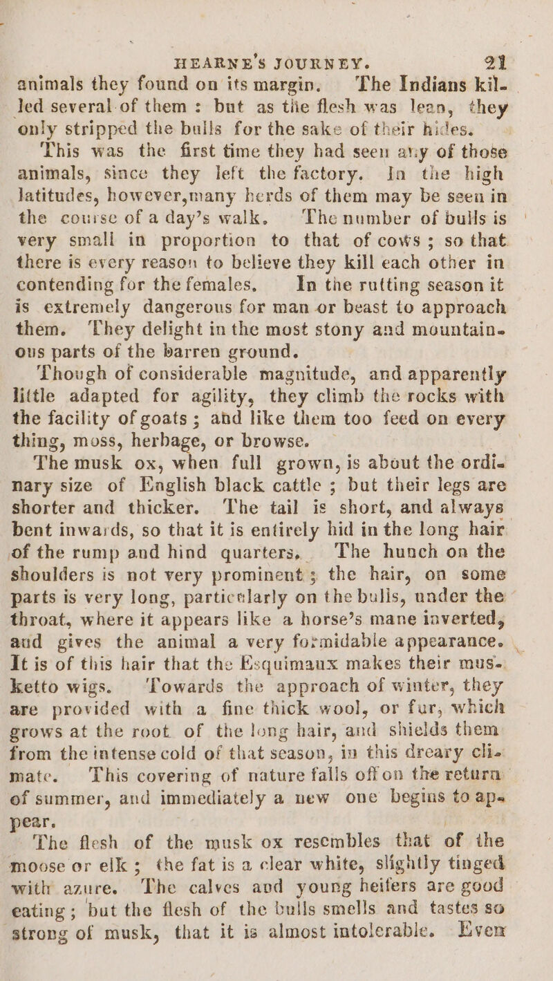 animals they found on its margin. The Indians kil-_ led several of them : but as tiie flesh was lean, they ‘only stripped the bulls for the sake of their hides. This was the first time they had seen atiy of those animals, since they left the factory. In the high latitudes, however,many herds of them may be seen in the course of a day’s walk. The number of bulls is very small in proportion to that of cows; so that. there is every reason to believe they kill each other in contending for thefemales. In the rutting season it is extremely dangerous for man or beast to approach them. ‘They delight in the most stony and mountain. ous parts of the barren ground. Though of considerable magnitude, and apparently little adapted for agility, they climb the rocks with the facility of goats ; and like them too feed on every thing, moss, herbage, or browse. _ } The musk ox, when full grown, is about the ordi- nary size of [English black cattle ; but their legs are shorter and thicker. The tail is short, and always” bent inwards, so that it is entirely hid in the long hair of the rump and hind quarters, The hunch on the shoulders is not very prominent; the hair, on some parts is very long, particelarly on the bulis, under the throat, where it appears like a horse’s mane laverted, aud gives the animal a very formidable appearance. _ It is of this hair that the Esquimaux makes their mus. ketto wigs. ‘Towards the approach of winter, they are provided with a fine thick wool, or fur, which grows at the root of the long hair, and shields them from the intense cold of that season, in this dreary cli. mate. This covering of nature falls offon the retura of summer, and immediately a uew one begins to apa ear. The flesh of the musk ox resembles that of ihe moose or elk; the fat is a clear white, slightly tinged with azure. “The calves avd young heifers are good eating ; but the flesh of the bulls smells and tastes so strong of musk, that it is almost intolerable. Lven