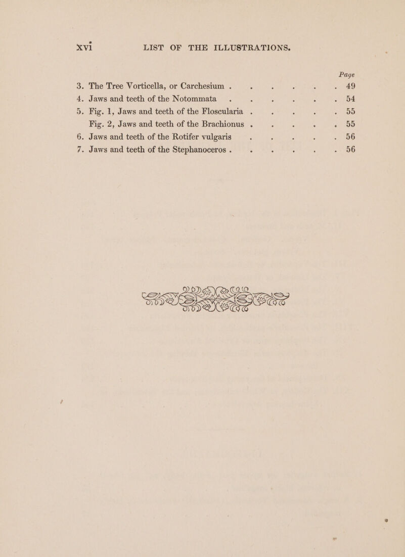 Page 3. The Tree Vorticella, or Carchesium . ‘ ; : : . 49 4. Jaws and teeth of the Notommata . : ; ; Z + 4 5. Fig. 1, Jaws and teeth of the Floscularia . ‘ : : . OO Fig. 2, Jaws and teeth of the Brachionus . : - : . 95 6. Jaws and teeth of the Rotifer vulgaris : ; : 3 «06