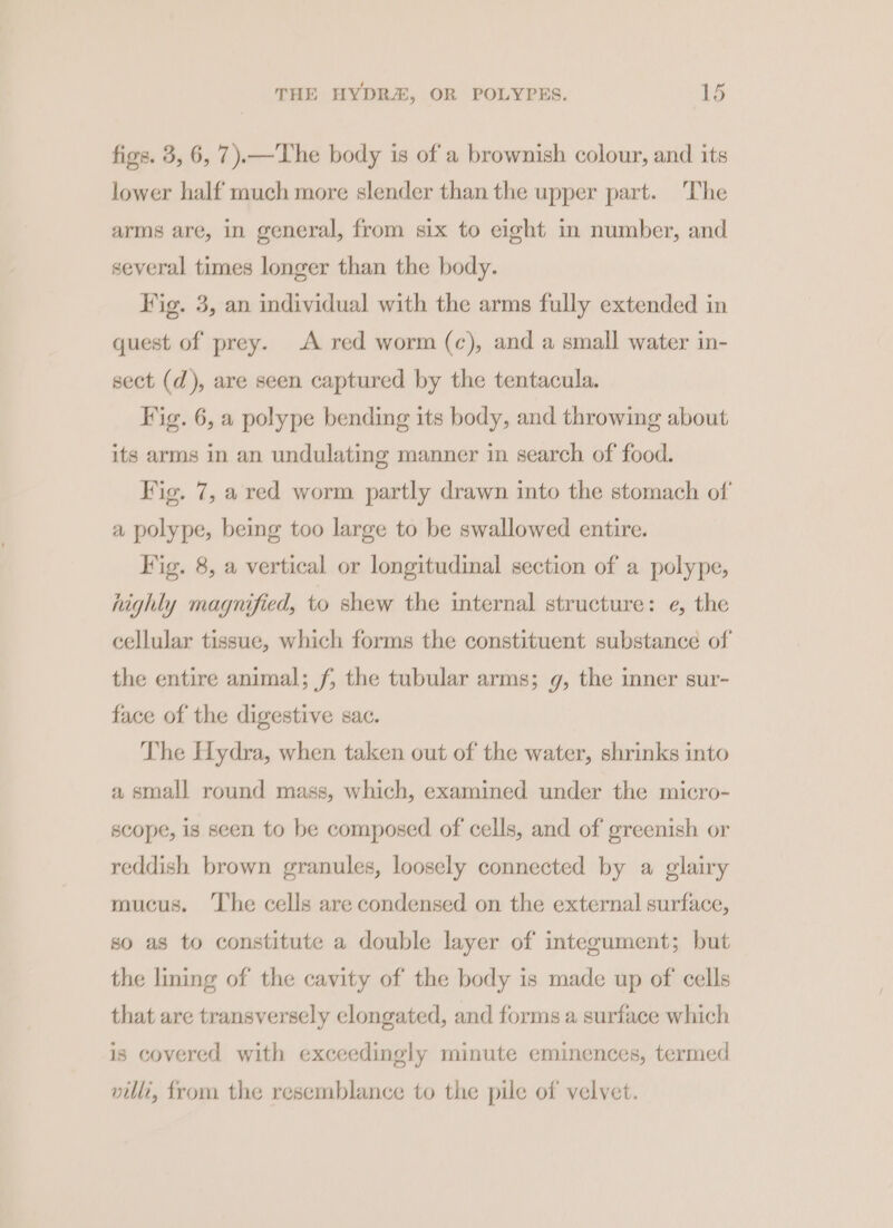 figs. 3, 6, 7).—The body is of a brownish colour, and its lower half much more slender than the upper part. The arms are, in general, from six to eight in number, and several times longer than the body. Fig. 3, an individual with the arms fully extended in quest of prey. A red worm (c), and a small water in- sect (d), are seen captured by the tentacula. Fig. 6, a polype bending its body, and throwing about its arms in an undulating manner in search of food. Fig. 7, a red worm partly drawn into the stomach of a polype, being too large to be swallowed entire. Fig. 8, a vertical or longitudinal section of a polype, highly magnified, to shew the internal structure: e, the cellular tissue, which forms the constituent substance of the entire animal; f, the tubular arms; g, the inner sur- face of the digestive sac. The Hydra, when taken out of the water, shrinks into a small round mass, which, examined under the micro- scope, is seen to be composed of cells, and of greenish or reddish brown granules, loosely connected by a glairy mucus. ‘The cells are condensed on the external surface, so as to constitute a double layer of integument; but the lining of the cavity of the body is made up of cells that are transversely elongated, and forms a surface which is covered with exceedingly minute eminences, termed villi, from the resemblance to the pile of velvet.