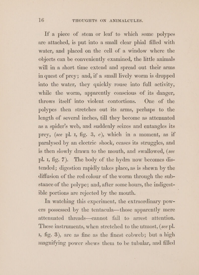 If a piece of stem or leaf to which some polypes are attached, is put into a small clear phial filled with water, and placed on the cell of a window where the objects can be conveniently examined, the little animals will in a short time extend and spread out their arms in quest of prey; and, if a small lively worm is dropped into the water, they quickly rouse into full activity, while the worm, apparently conscious of its danger, throws itself into violent contortions. One of the polypes then stretches out its arms, perhaps to the length of several inches, till they become as attenuated as a spider’s web, and suddenly seizes and entangles its prey, (see pl. 1, fig. 3, ¢), which in a moment, as if paralysed by an electric shock, ceases its struggles, and is then slowly drawn to the mouth, and swallowed, (see pl. fig: 7). The body of the hydra now becomes dis- tended; digestion rapidly takes place, as is shewn by the diffusion of the red colour of the worm through the sub- stance of the polype; and, after some hours, the indigest- ible portions are rejected by the mouth. In watching this experiment, the extraordinary pow- ers possessed by the tentacula—those apparently mere attenuated threads—cannot fail to arrest attention. These instruments, when stretched to the utmost, (see pl. 1, fig. 3), are as fine as the finest cobweb; but a high magnifying power shews them to be tubular, and filled