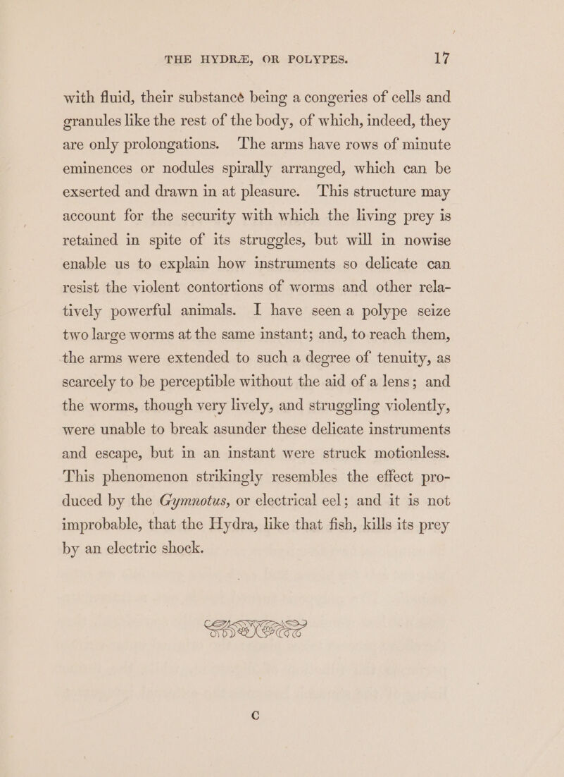 with fluid, their substancé being a congeries of cells and granules like the rest of the body, of which, indeed, they are only prolongations. ‘The arms have rows of minute eminences or nodules spirally arranged, which can be exserted and drawn in at pleasure. This structure may account for the security with which the living prey is retained in spite of its struggles, but will in nowise enable us to explain how instruments so delicate can resist the violent contortions of worms and other rela- tively powerful animals. J have seen a polype seize two large worms at the same instant; and, to reach them, the arms were extended to such a degree of tenuity, as scarcely to be perceptible without the aid of a lens; and the worms, though very lively, and struggling violently, were unable to break asunder these delicate instruments and escape, but in an instant were struck motionless. This phenomenon strikingly resembles the effect pro- duced by the G'ymnotus, or electrical eel; and it is not improbable, that the Hydra, like that fish, kills its prey by an electric shock.