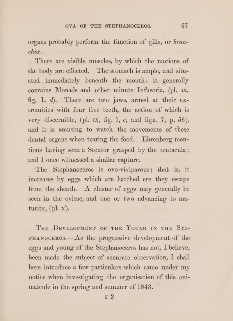 organs probably perform the function of gills, or bran- chie. There are visible muscles, by which the motions of the body are effected. The stomach is ample, and situ- ated immediately beneath the mouth: it generally contains Monads and other minute Infusoria, (pl. 1, fix. 1, d). There are two jaws, armed at their ex- tremities with four free teeth, the action of which is very discernible, (pl. 1x, fig. 1, c, and lign. 7, p. 56), and it is amusing to watch the movements of these dental organs when tearing the food. Ehrenberg men- tions having seen a Stentor grasped. by the tentacula; and I once witnessed a similar capture. The Stephanoceros is ovo-viviparous; that is, it increases by eggs which are hatched ere they escape from the sheath. &lt;A cluster of eggs may generally be seen in the ovisac, and one or two advancing to ma~ turity, (pl. x). Tue DrveLopMENT oF THE YOUNG IN THE STE- PHANOCEROS.— As the progressive development of the egos and young of the Stephanoceros has not, I believe, been made the subject of accurate observation, I shall here introduce a few particulars which came under my notice when investigating the organisatien of this ani- malcule in the spring and summer of 1843. ~ F 2