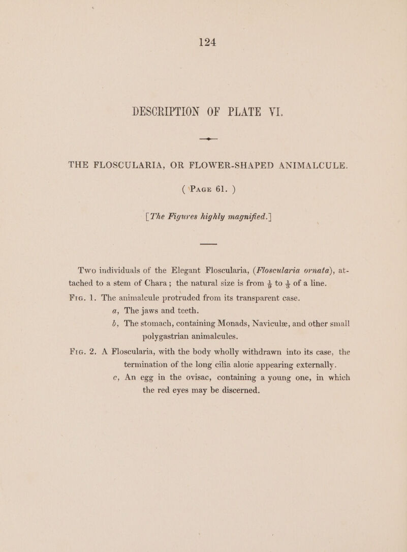 DESCRIPTION OF PLATE YI. THE FLOSCULARIA, OR FLOWER-SHAPED ANIMALCULE. (‘Pace 61. ) [The Figures highly magnified. | Two individuals of the Elegant Floscularia, (Floscularia ornata), at- tached to a stem of Chara; the natural size is from 3 to 3 of a line. Fre. 1. The animalcule protruded from its transparent case. a, The jaws and teeth. b, The stomach, containing Monads, Navicule, and other smal! polygastrian animalcules. Fie. 2. A Floscularia, with the body wholly withdrawn into its case, the termination of the long cilia alone appearing externally. c, An egg in the ovisac, containing a young one, in which the red eyes may be discerned.