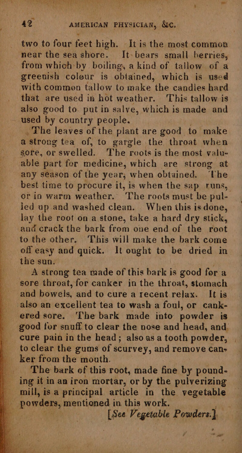 two to four feet high. It is the most common near the seashore. It. bears small berries, from which by boiling, a kind of tallow of a greenish colour is obtained, which is used with common tallow to make the candies hard that are used in hot weather. This tallow is also good to. put in salve, which is made and used by country people. . The leaves of the plant are good to make a ‘strong tea of, to gargle the throat when sore, or swelled. The roots is the most valu- able part for medicine, which are strong at best time to procure it, is when the sap runs, orin warm weather. The roots must be pul- Jed up and washed clean. When this is done, lay the root ona stone, take a hard dry stick, and crack the bark from one end of the root to the other. This will make the bark come off easy and quick. It ought to be dried in the sun. A strong tea made of this bark is good for a sore throat, for canker in the throat, stomach and bowels, and to cure a recent relax. It is also an excellent tea to wash a foul, or cank- good for snuff to clear the nose and head, and. cure pain in the head; also as a tooth powder, to clear the gums of scurvey, and remove Can» ker from the mouth. The bark of this root, made fine by pound- pete Vi egetable Powders.) e *